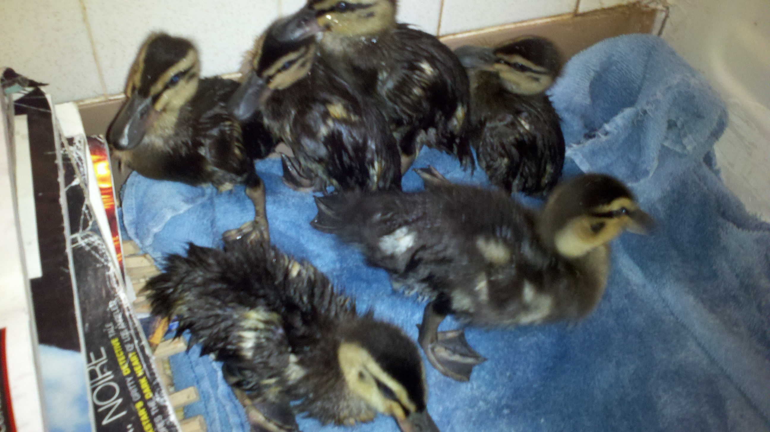Drying off after bath time