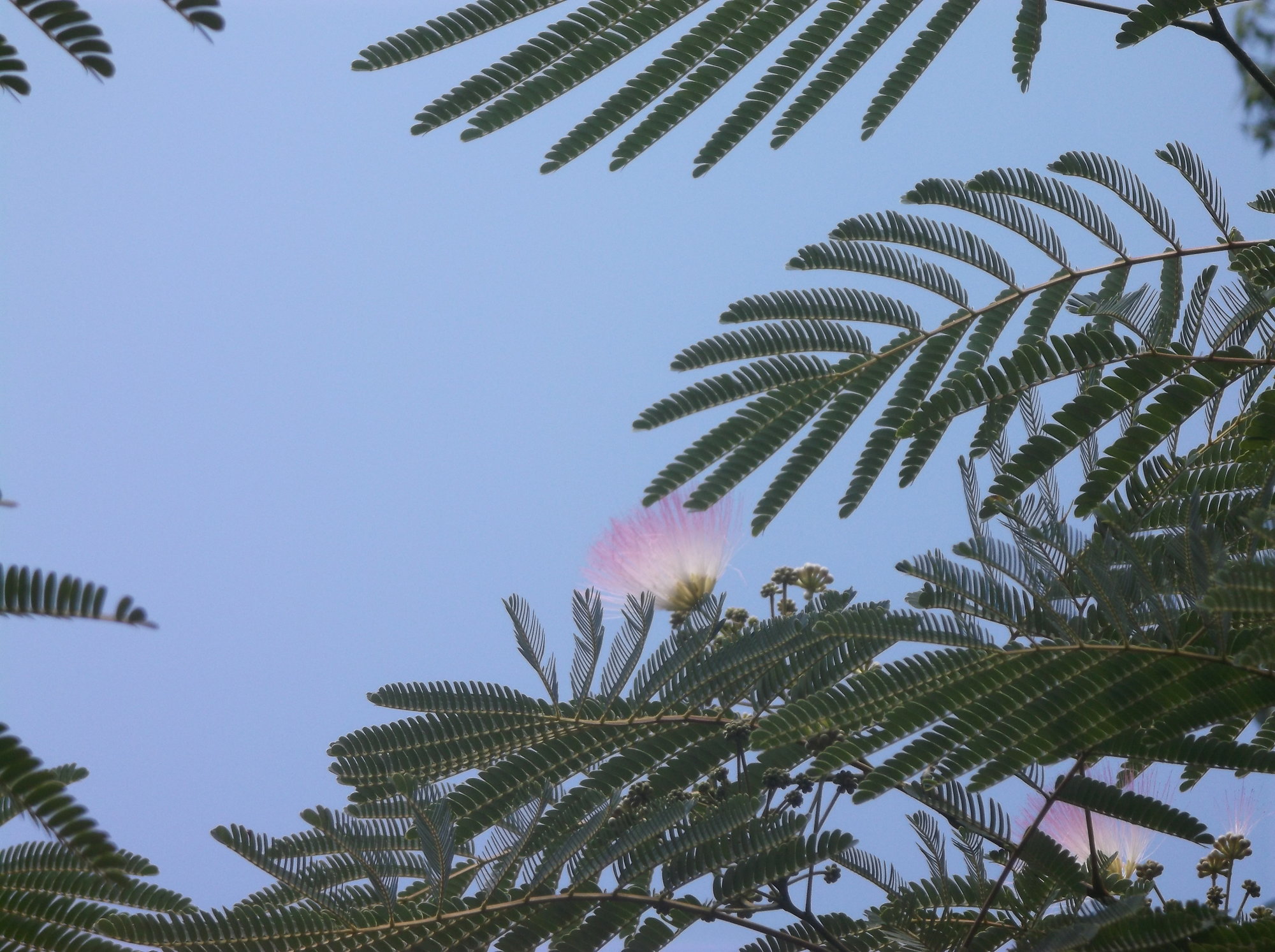DSCF0026
