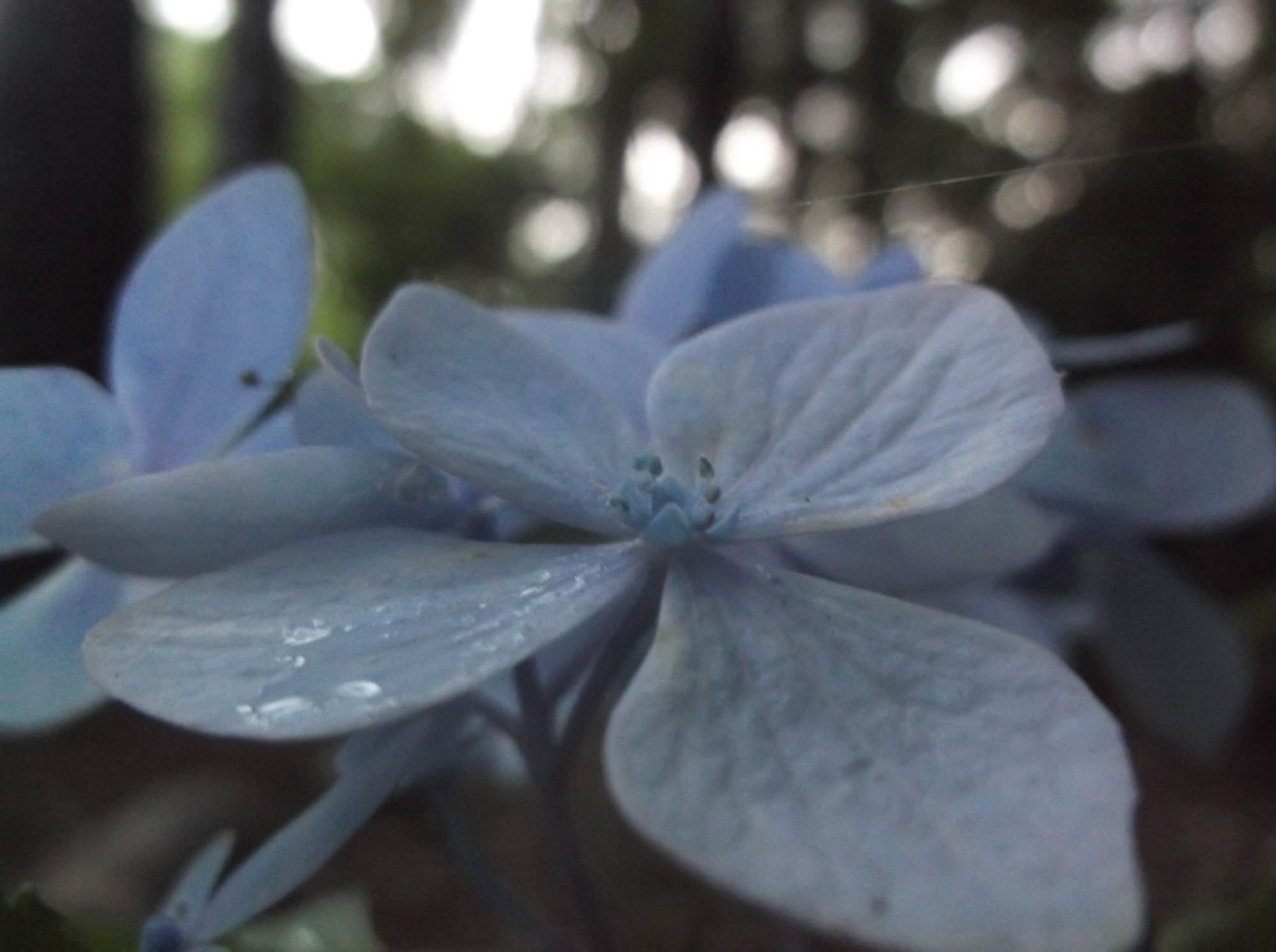 DSCF0084