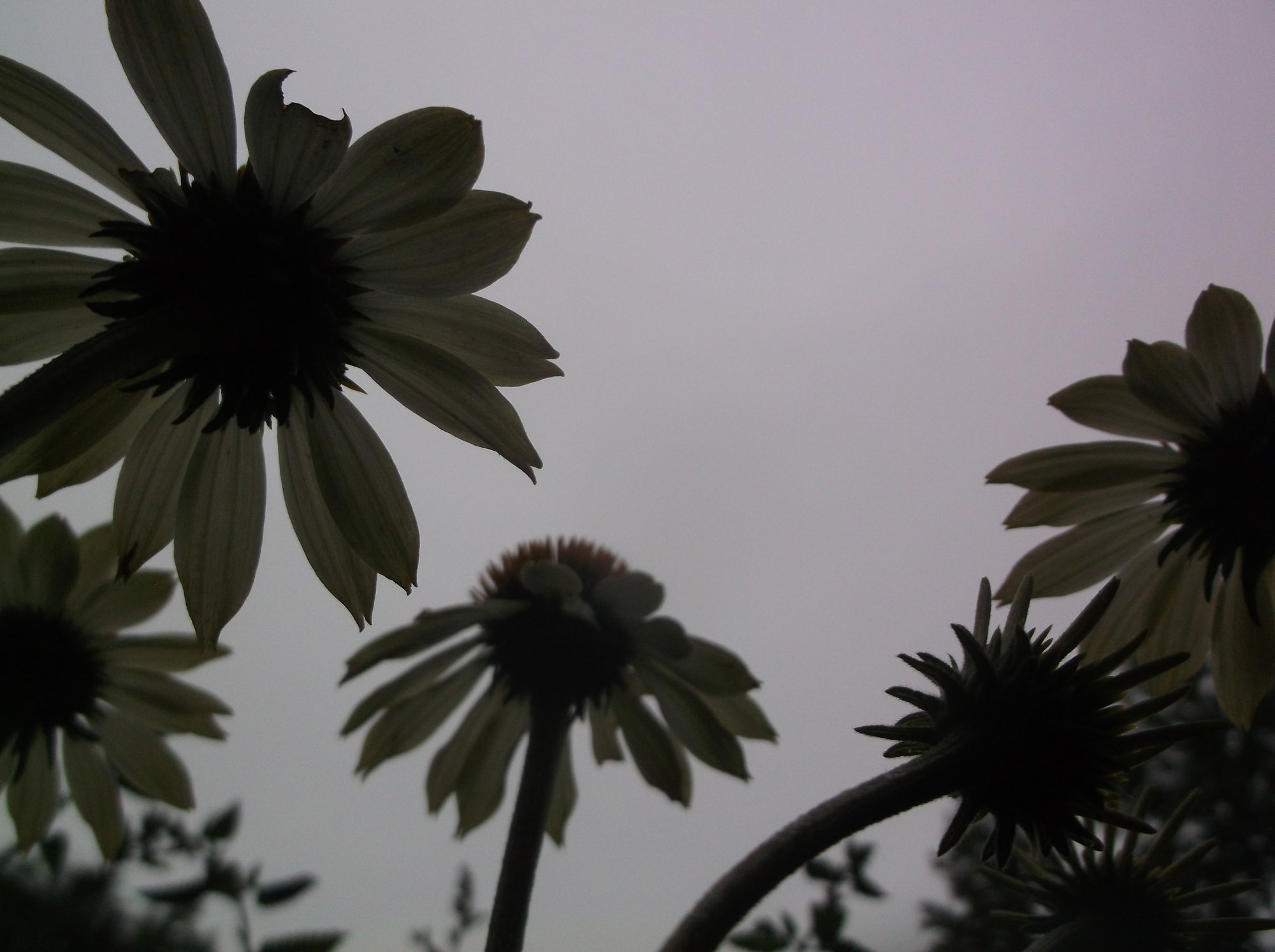 DSCF0325
