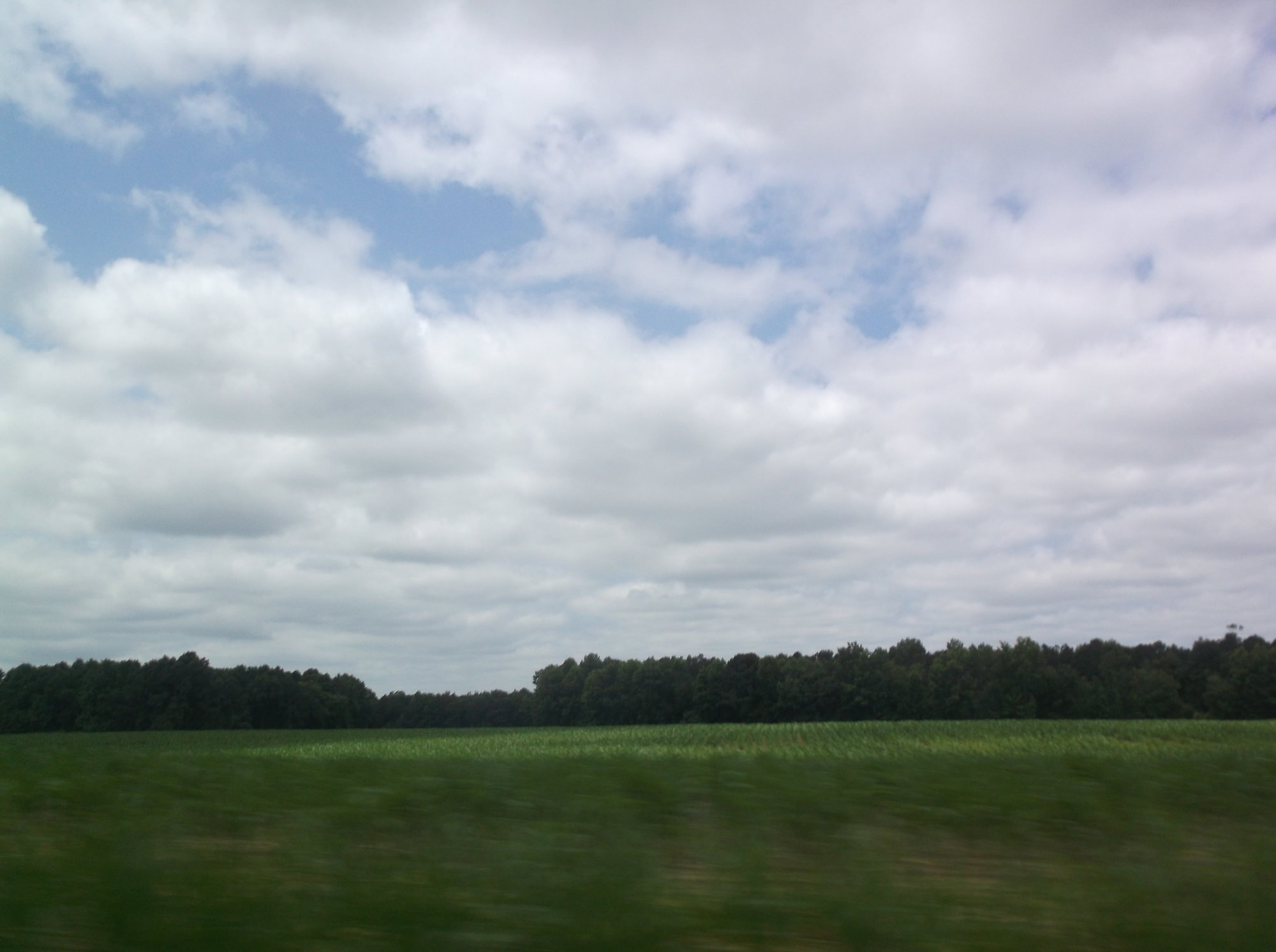 DSCF0358