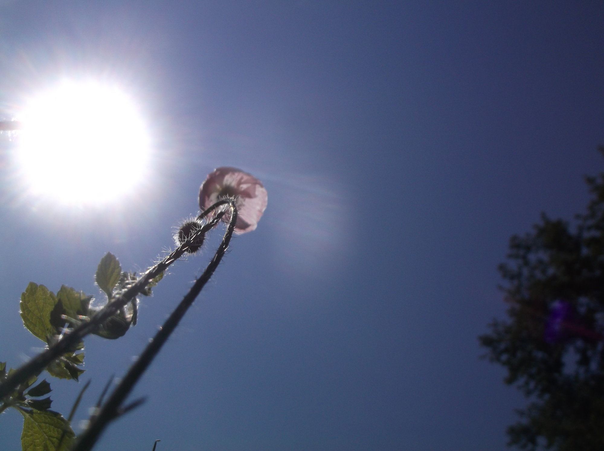DSCF0540
