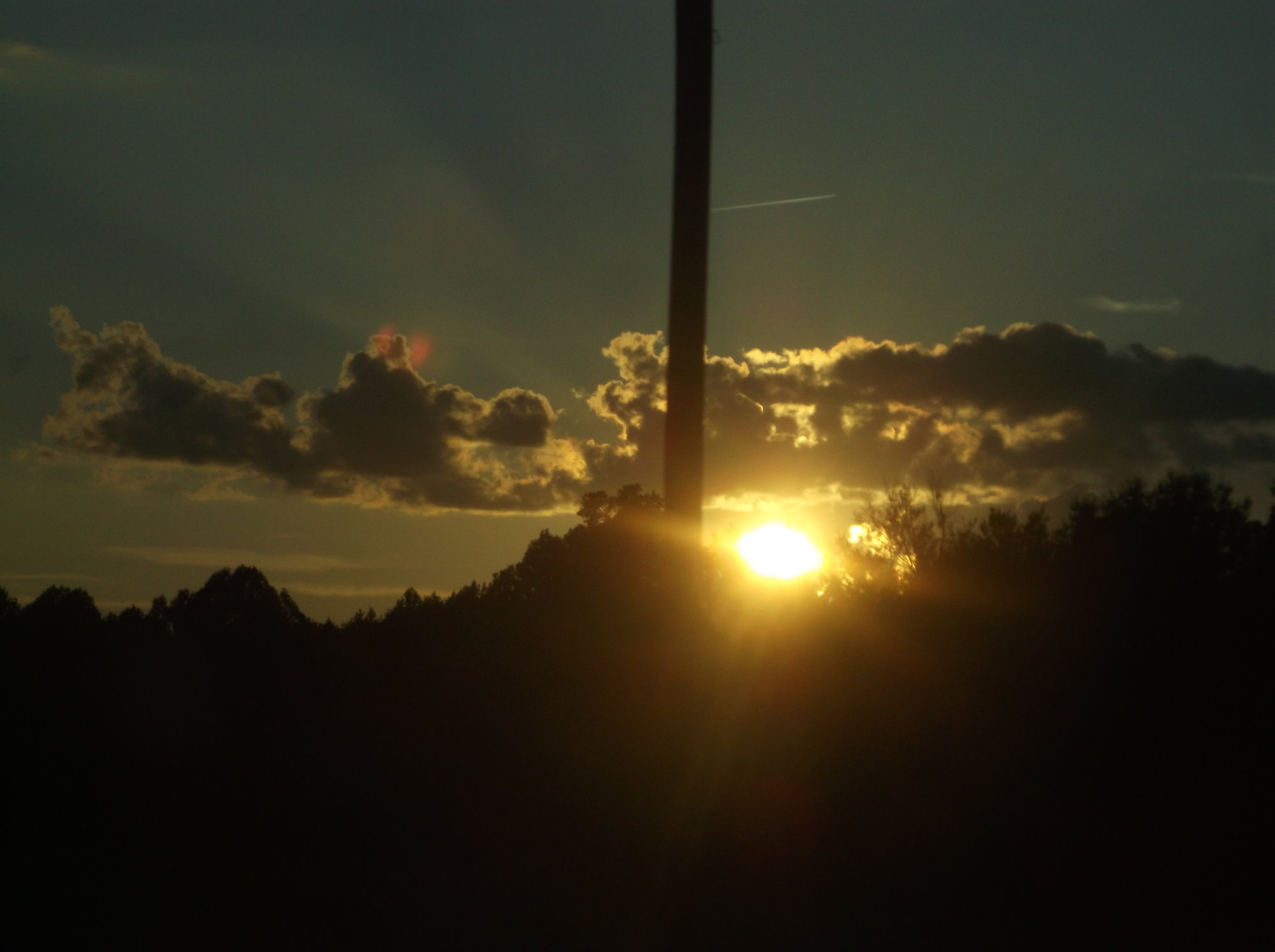 DSCF2311