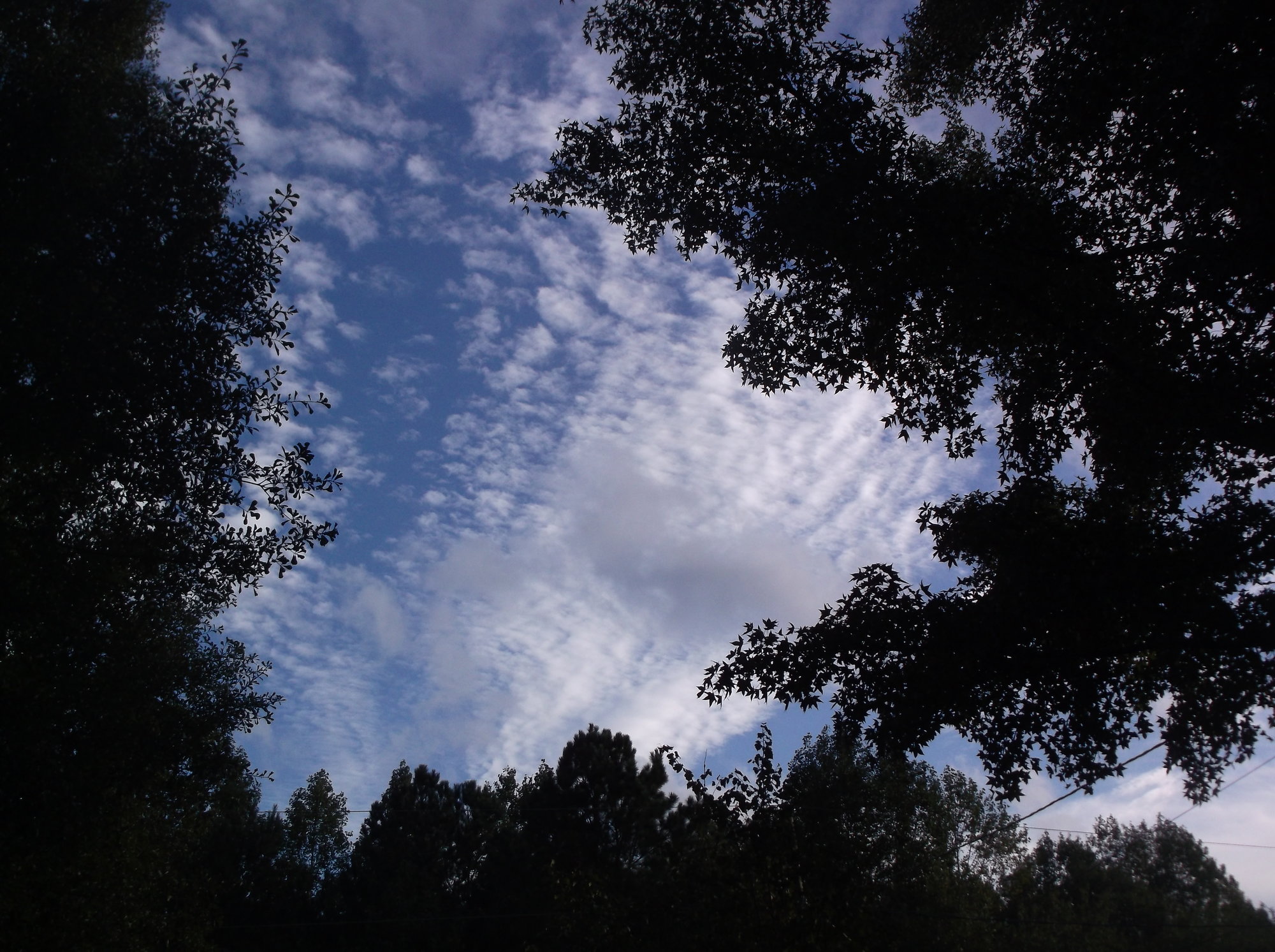 DSCF2976