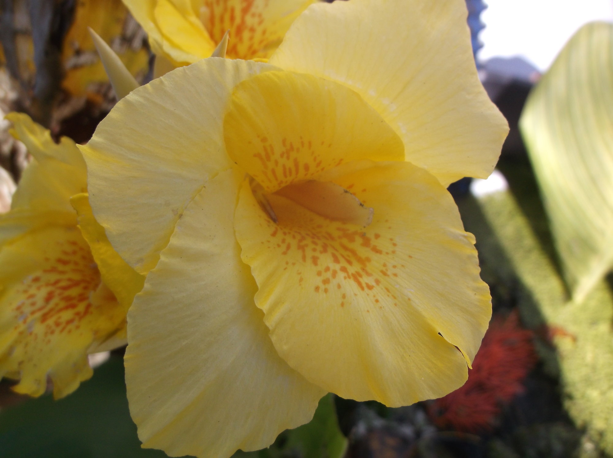 DSCF4040