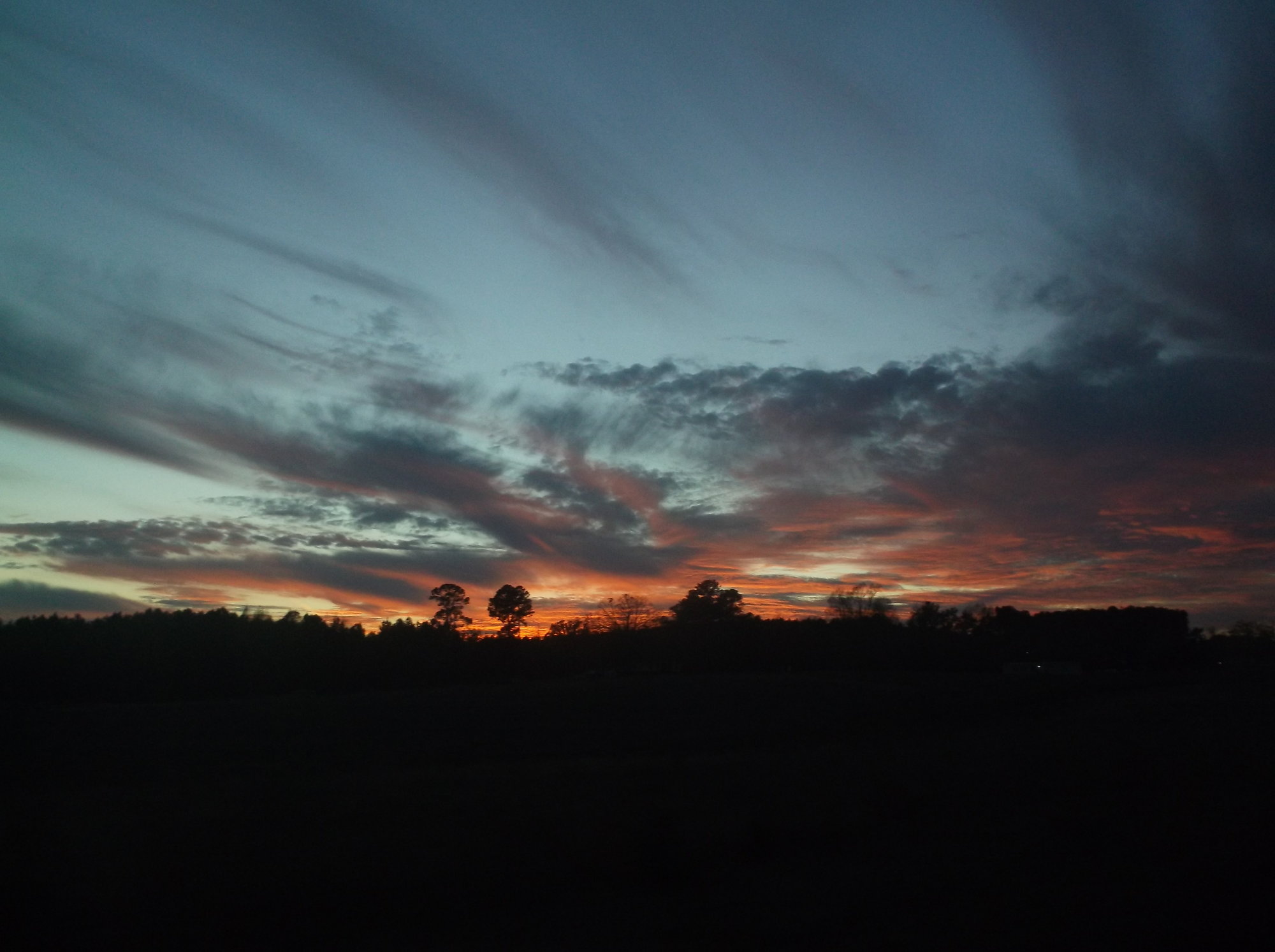DSCF5018