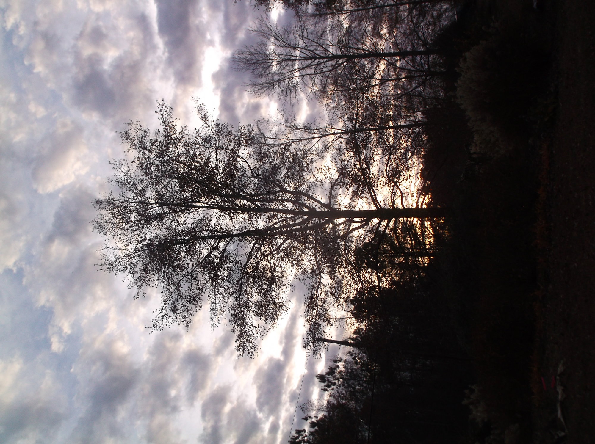 DSCF5286