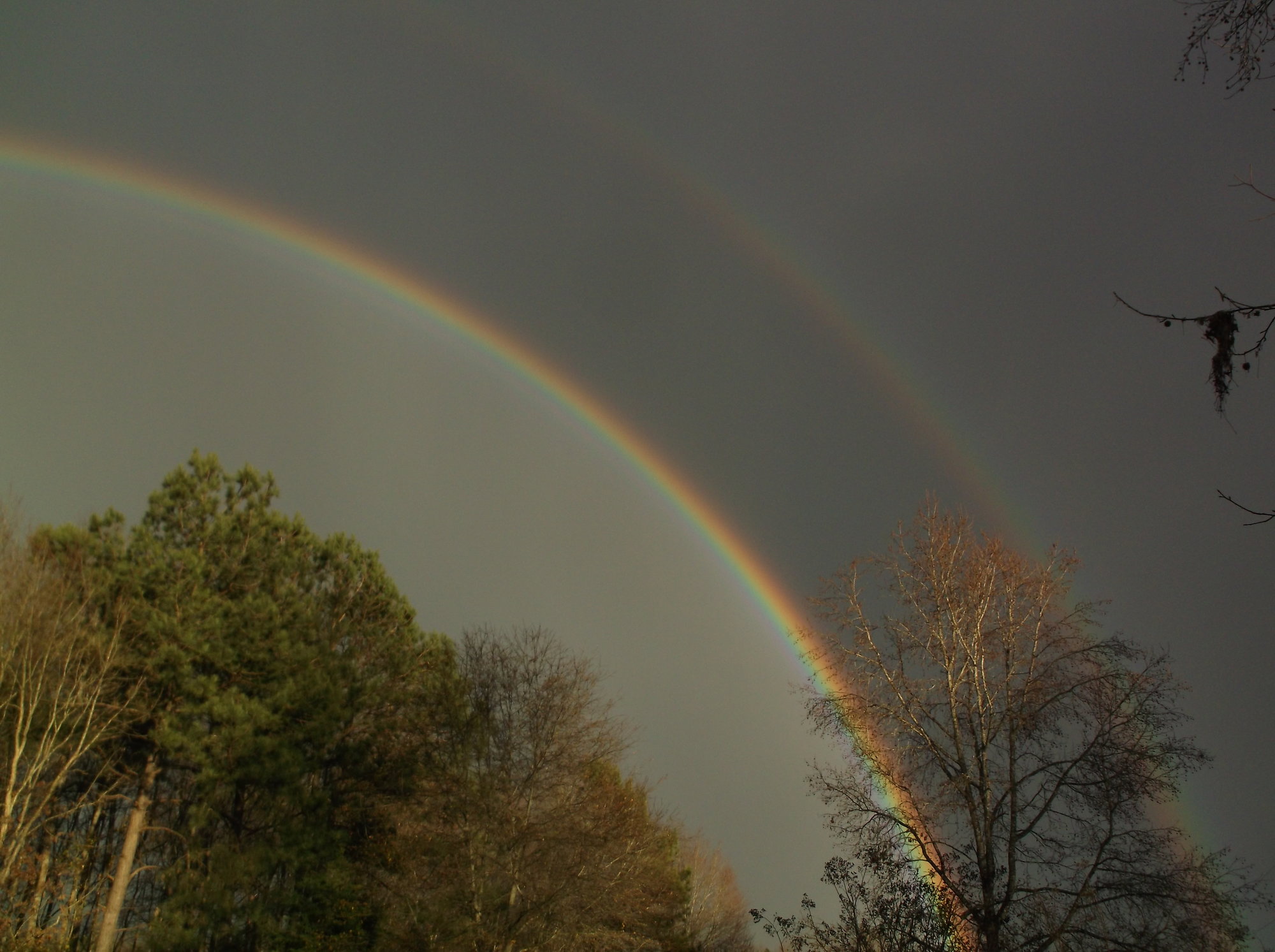 DSCF5430