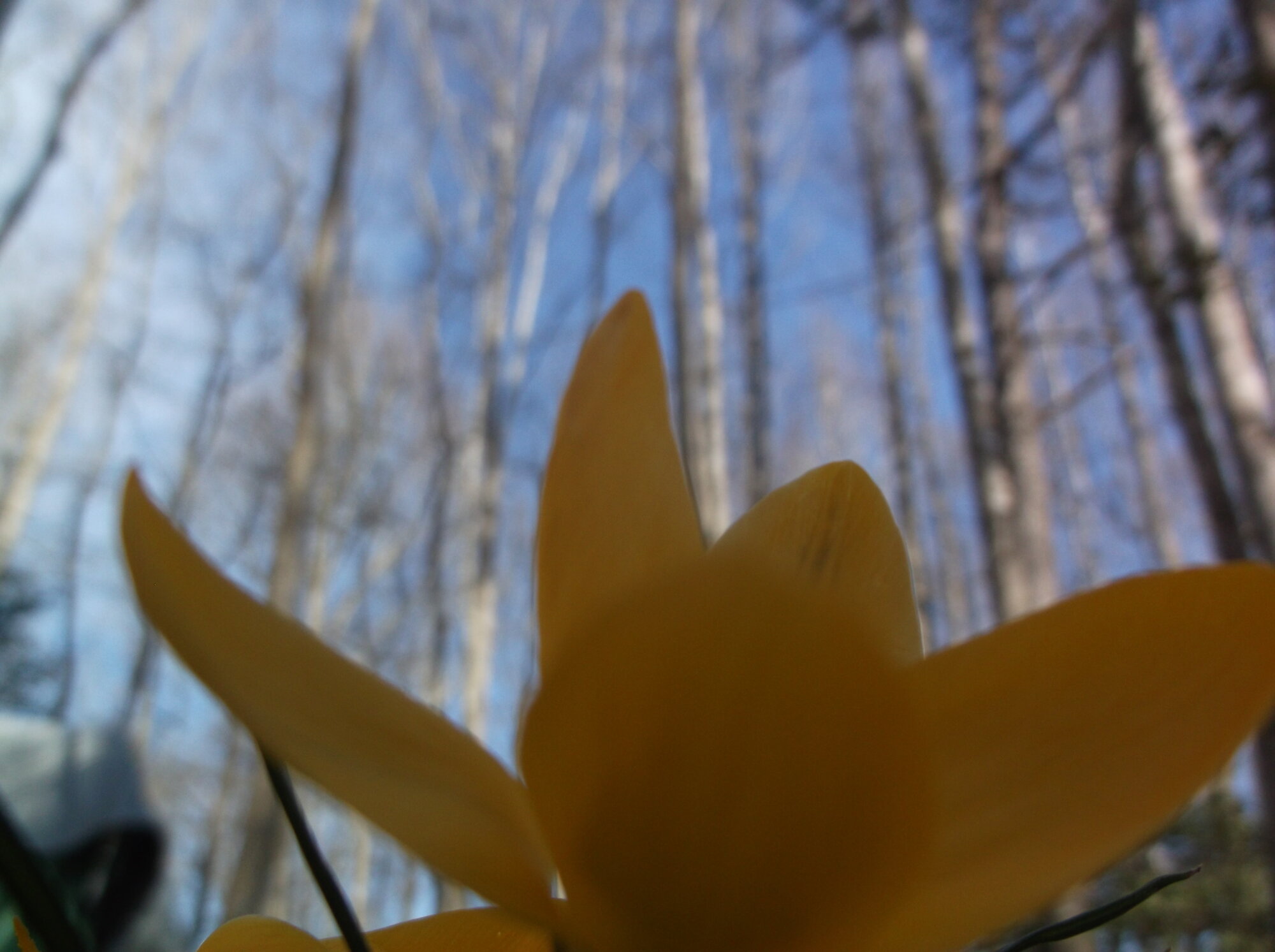DSCF5850