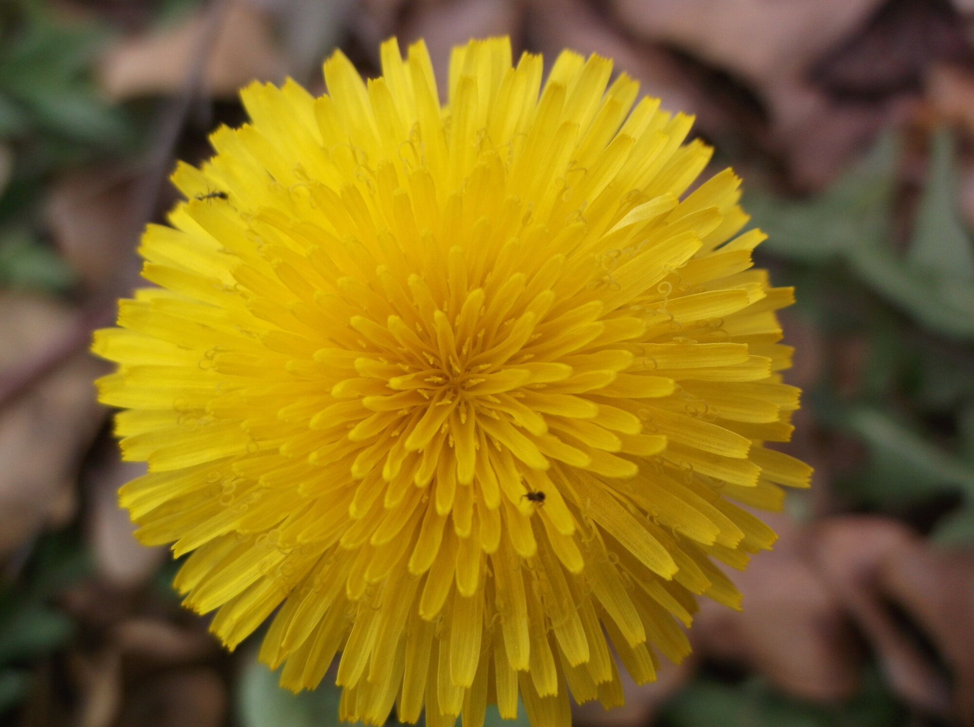 DSCF5872