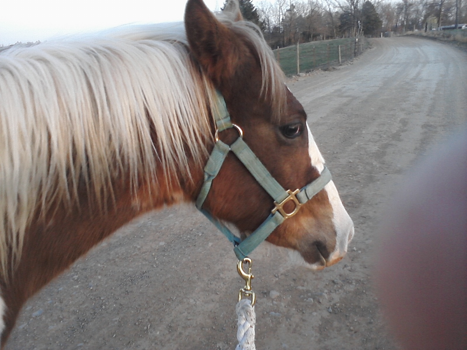 Duce! He's going "why are you doing this to me..."