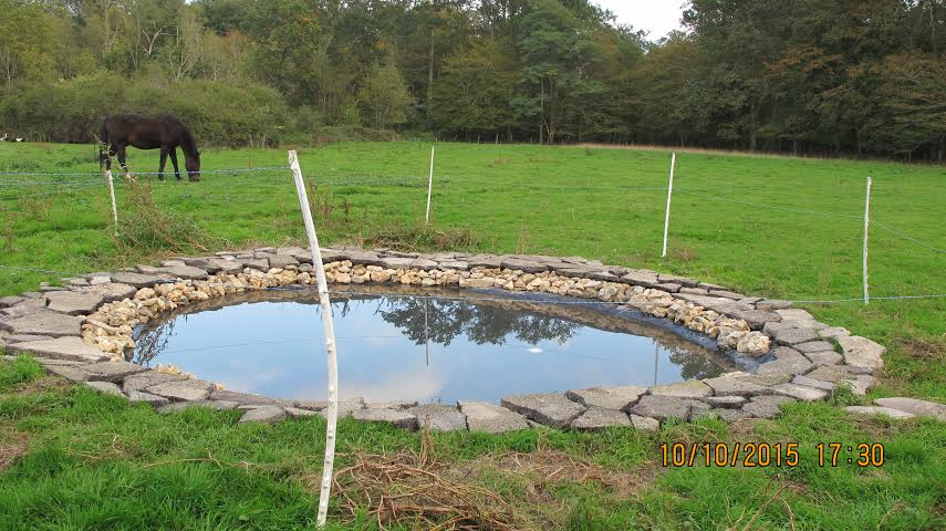 Duck and goose pond, constructed to allow run-off and filtering of surface feathers, built with black tarp, rocks and the pieces of road paving torn up and discarded off the side of the road!