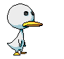 Duck disappointed