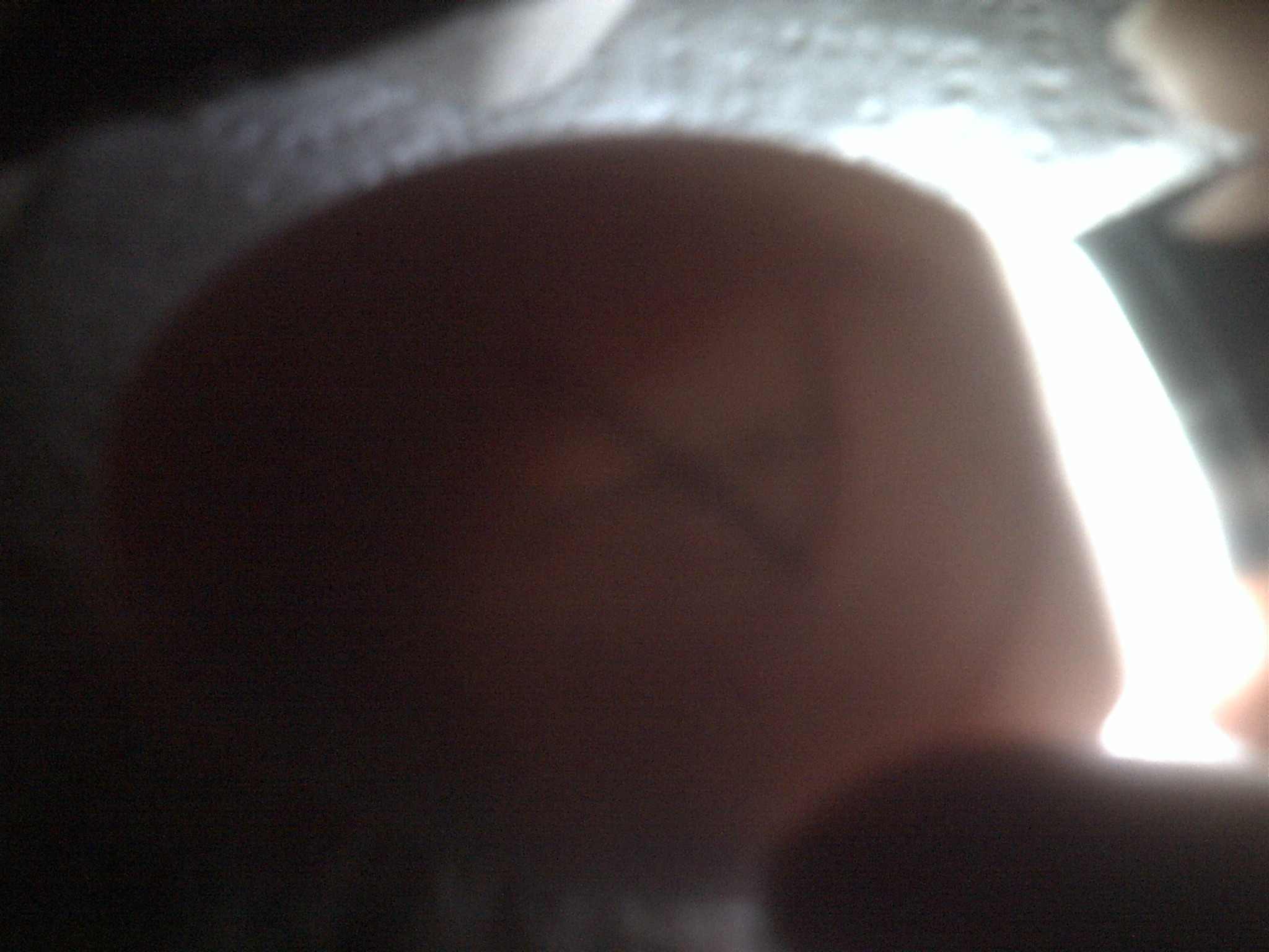 duck egg #1