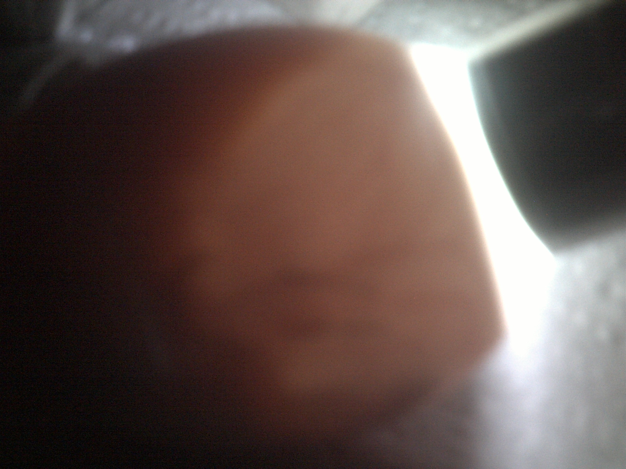 duck egg #2