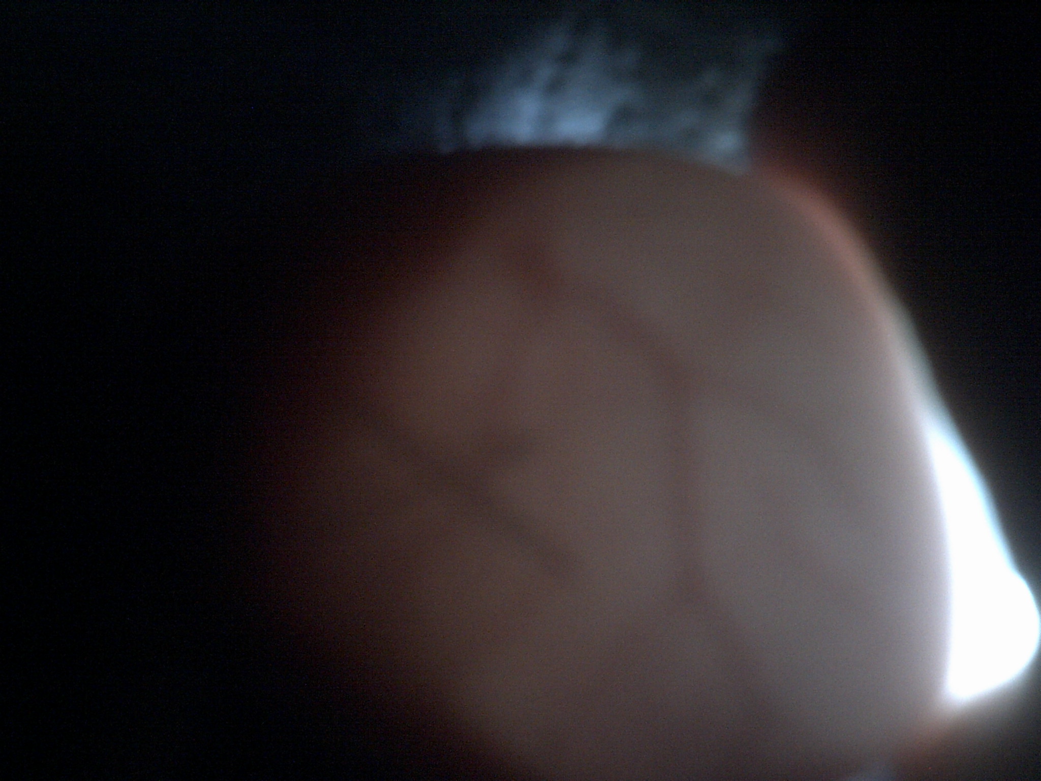 duck egg #3