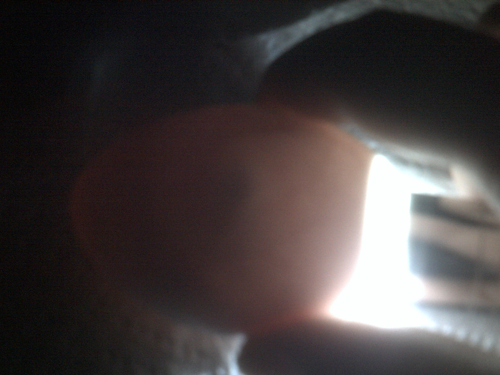 duck egg #4