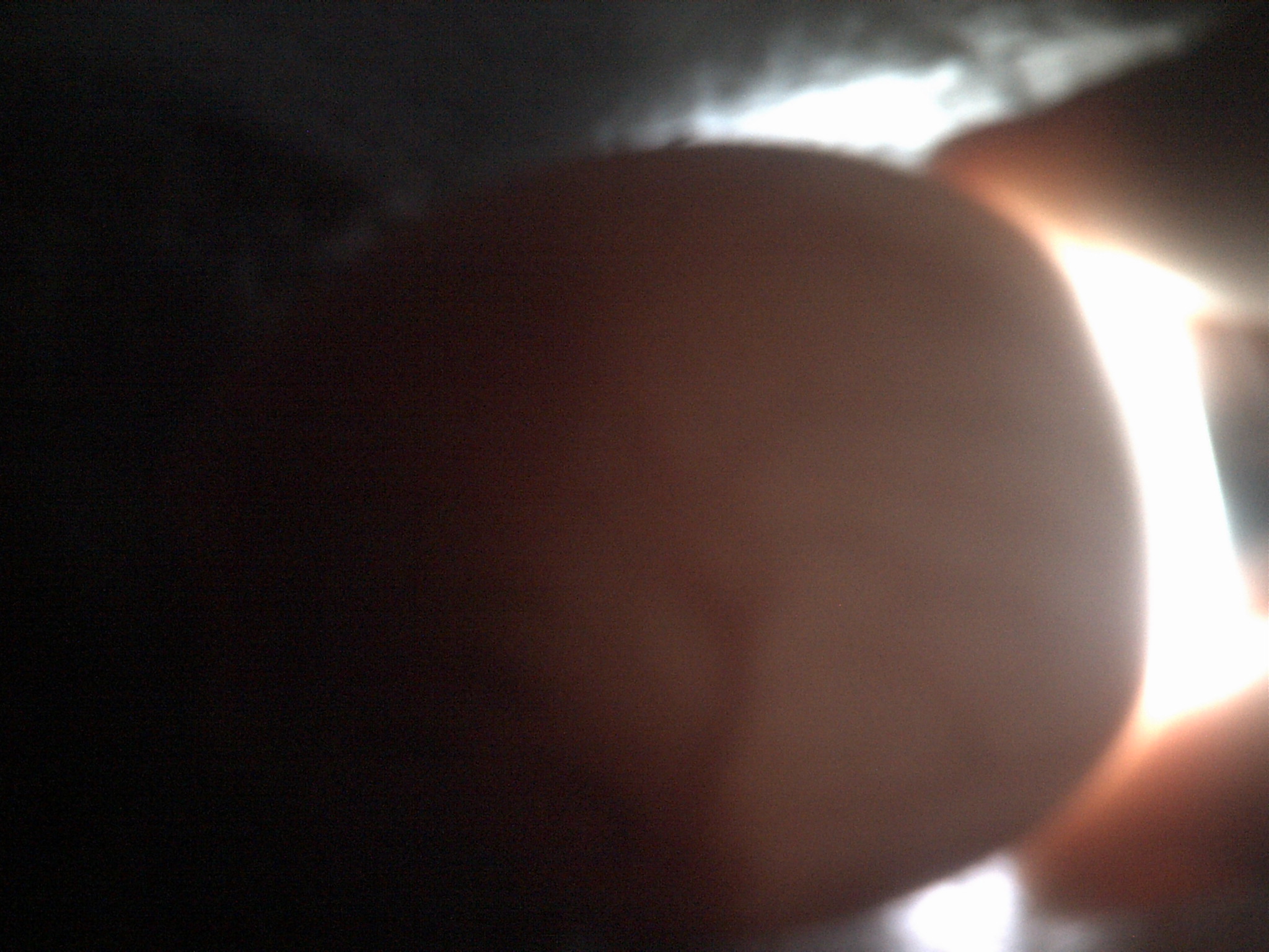 duck egg #5