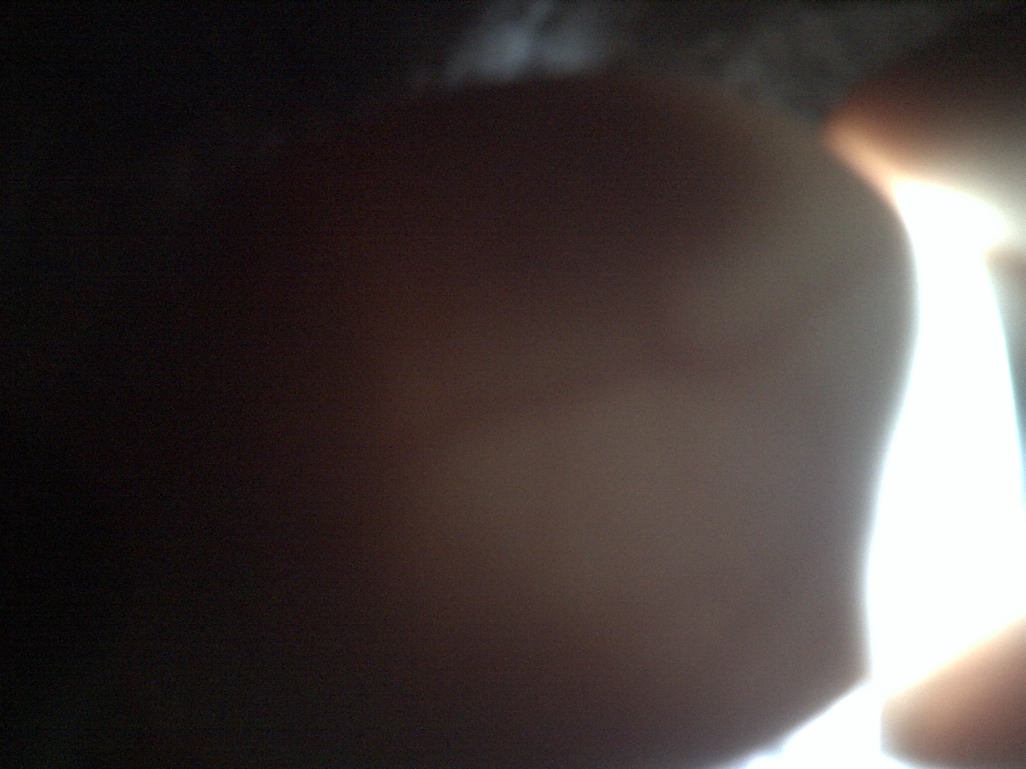 duck egg #6