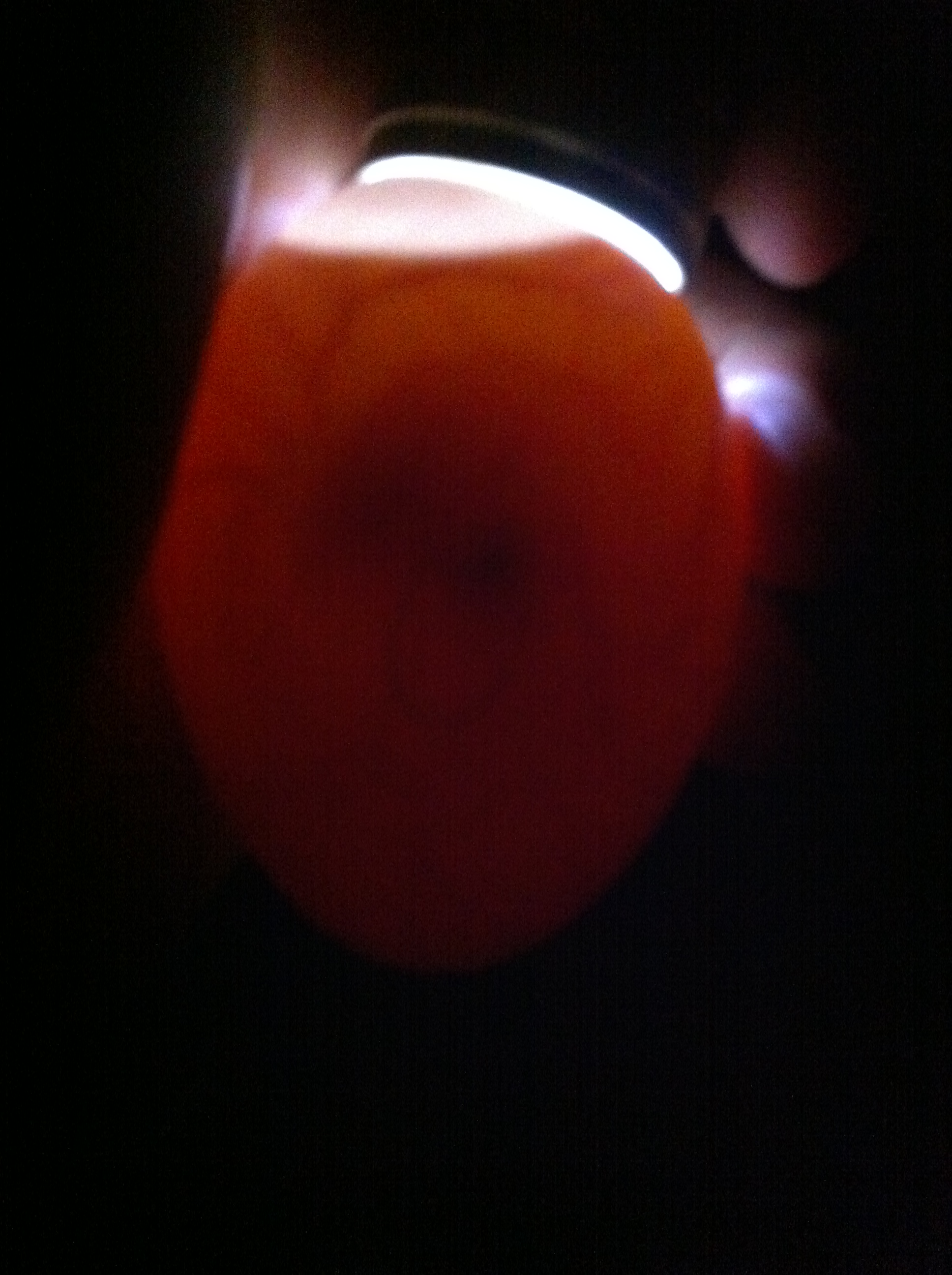 Duck egg candling