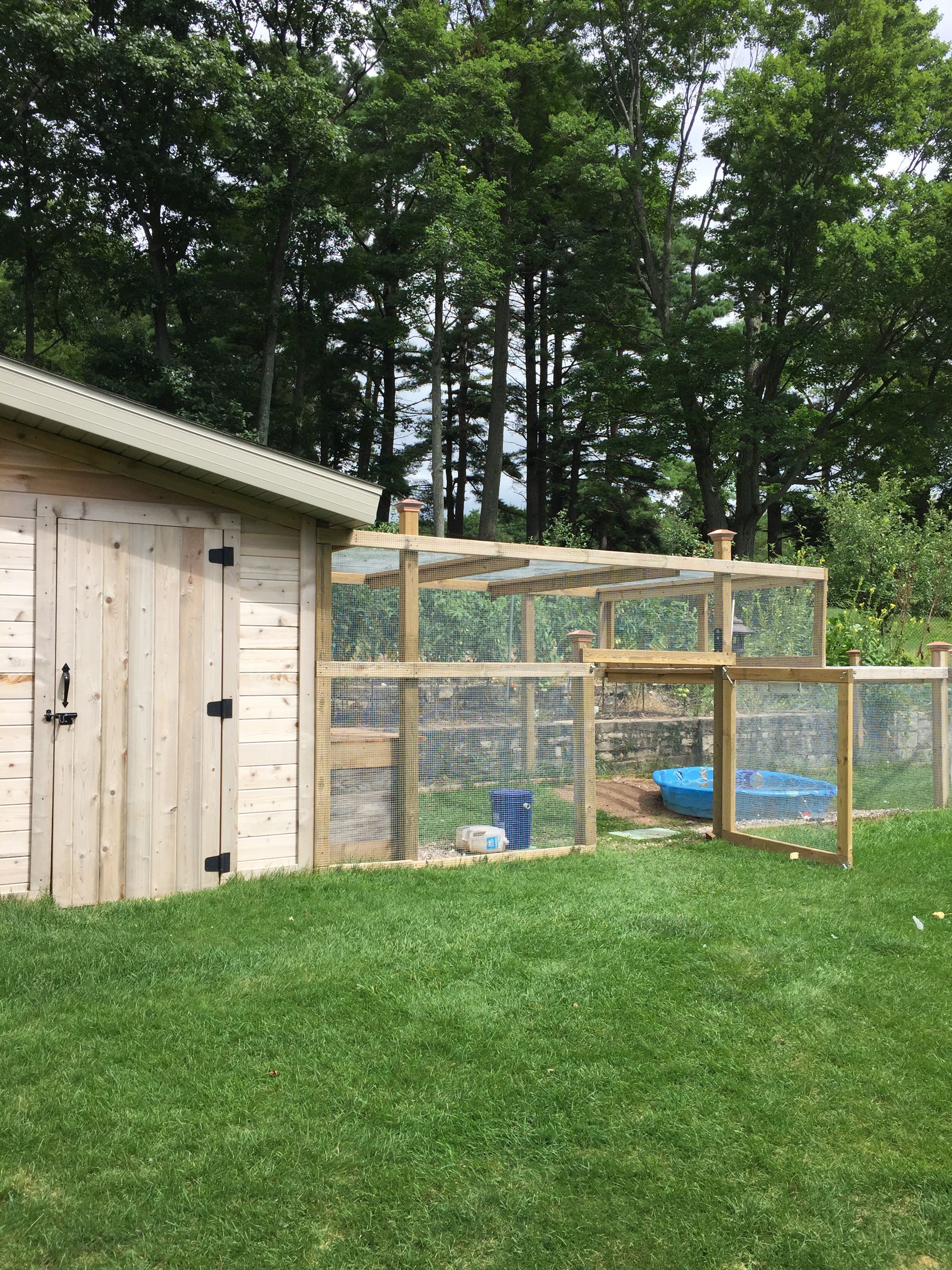 duck-house-and-run-backyard-chickens-learn-how-to-raise-chickens