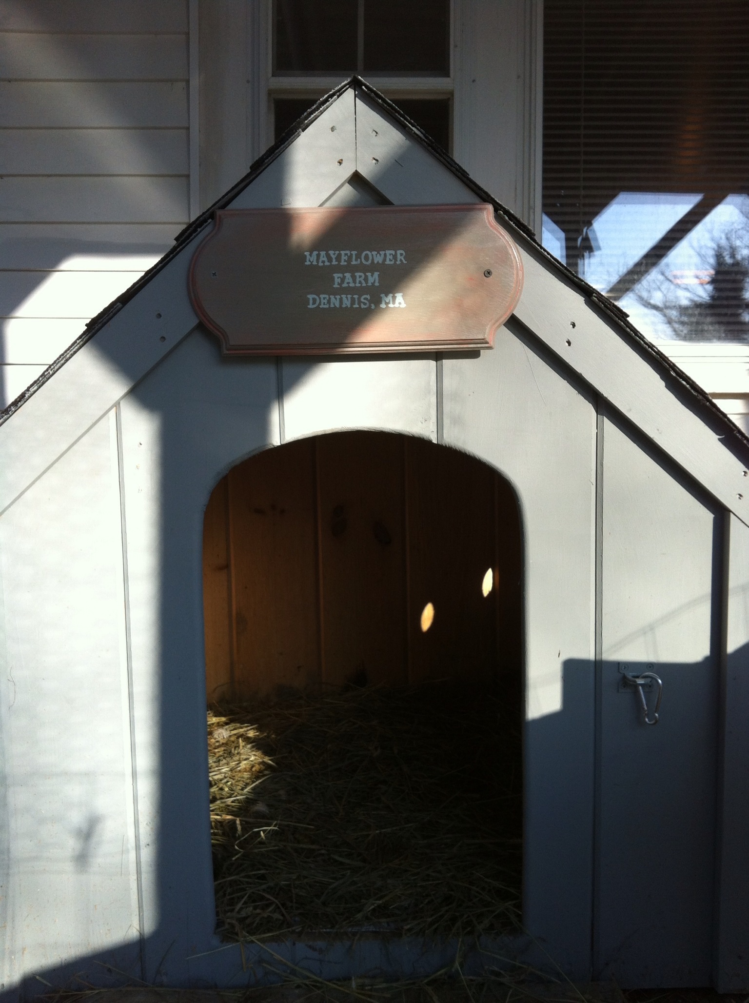 Duck house