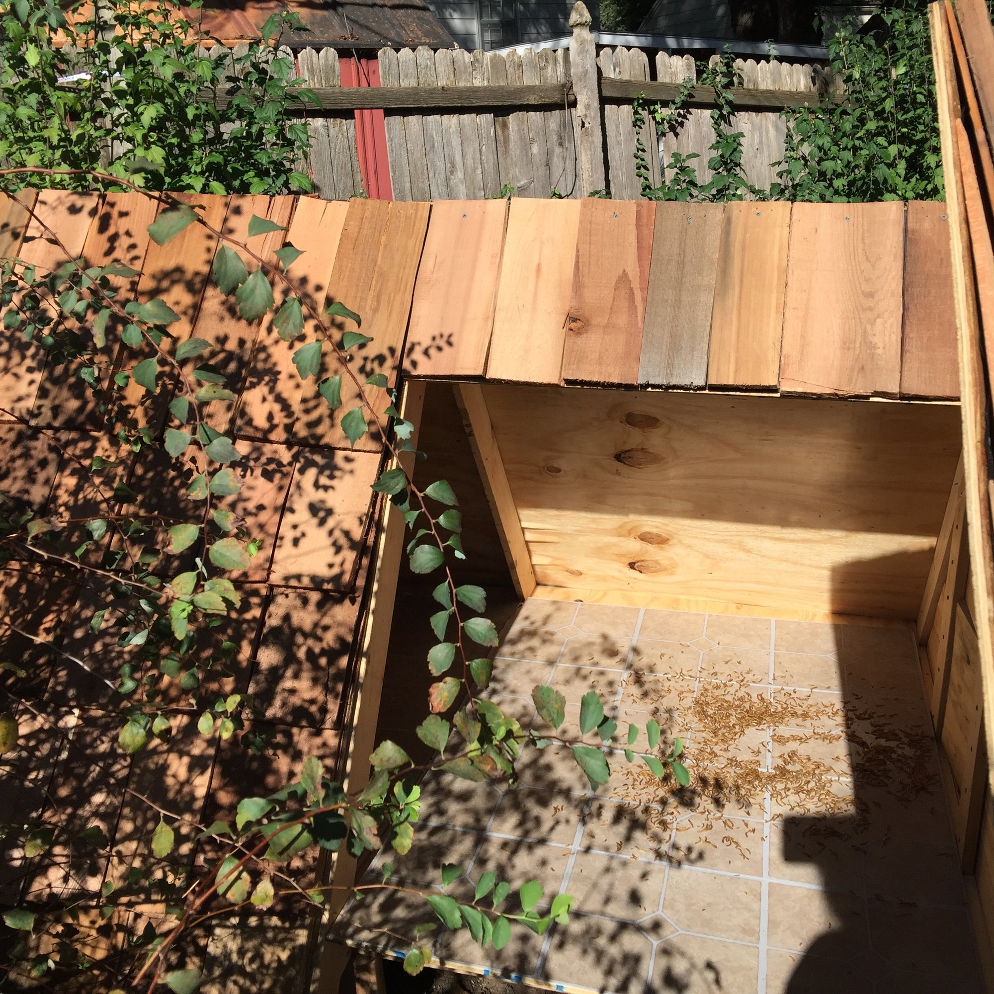 Duckhouse3