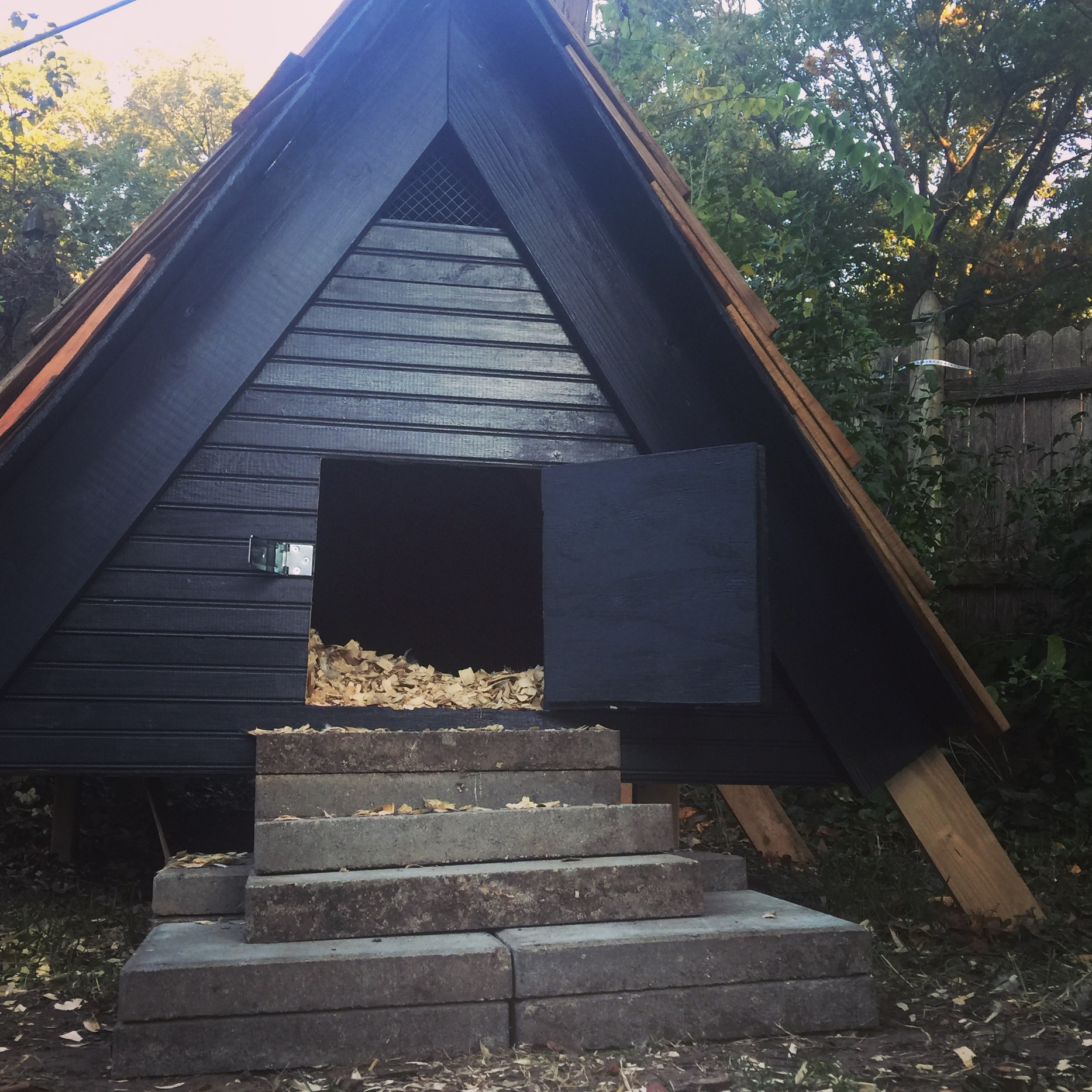 Duckhouse6