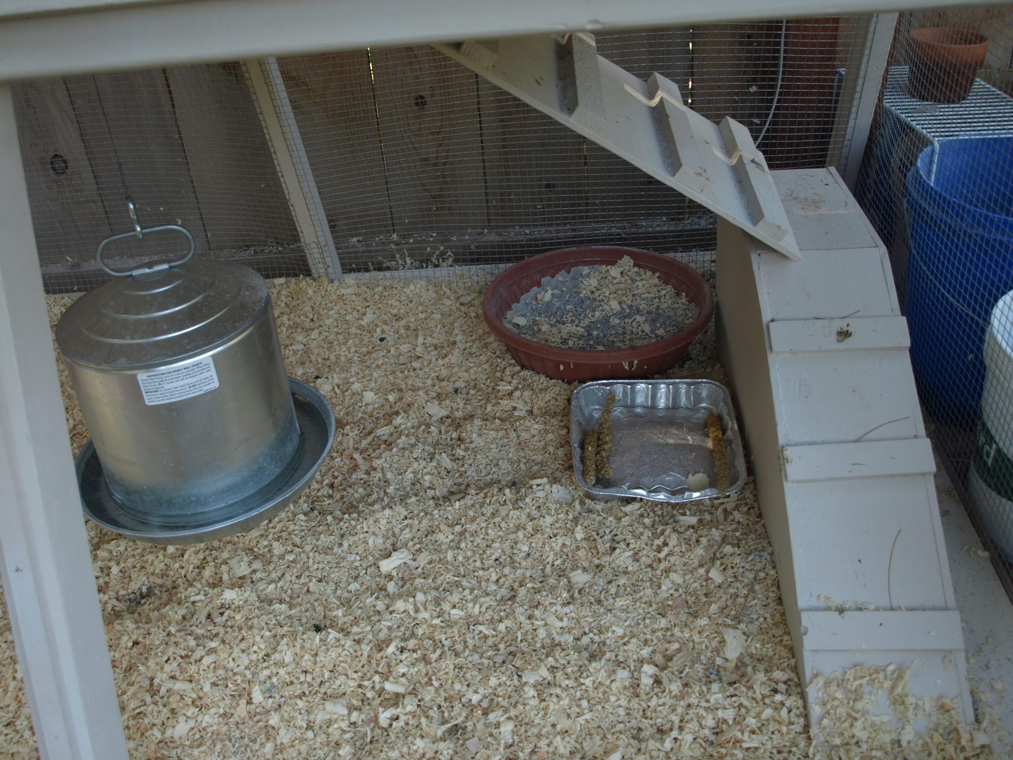 Dust bath and pop door/ramp
