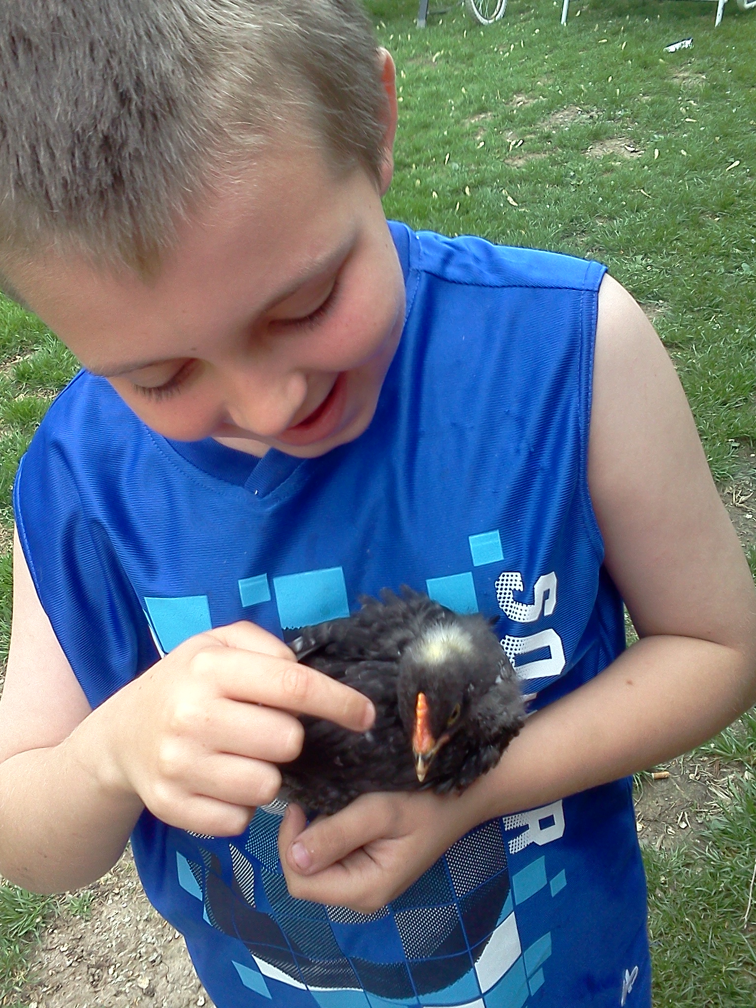 Dylan and his rooster, Hershey. See how big Hershey is getting. Dylan adores him.