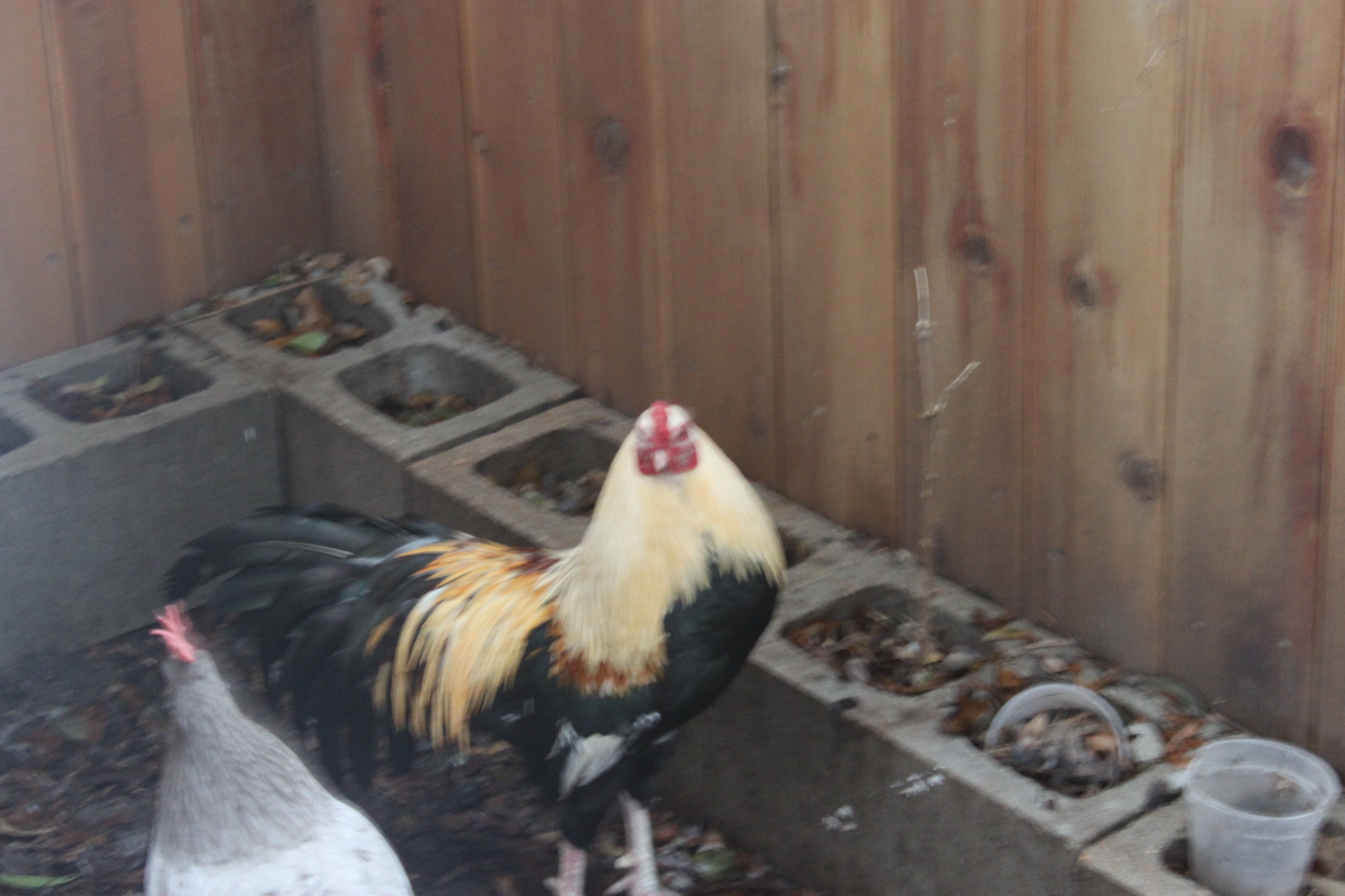 Dyno's photoshoot! :P