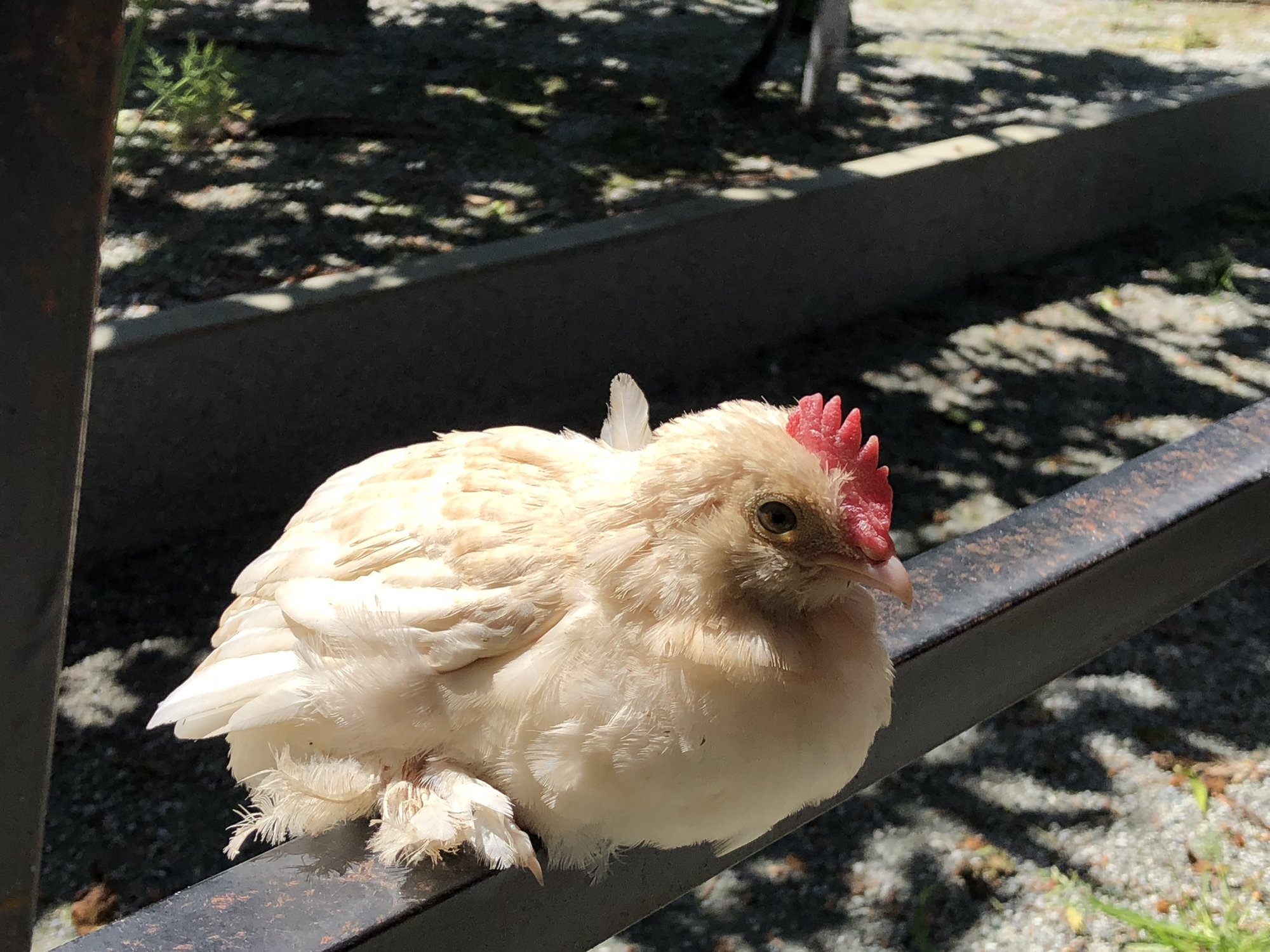 E035EF4F-18B1-43FE-A48C-89504078111F