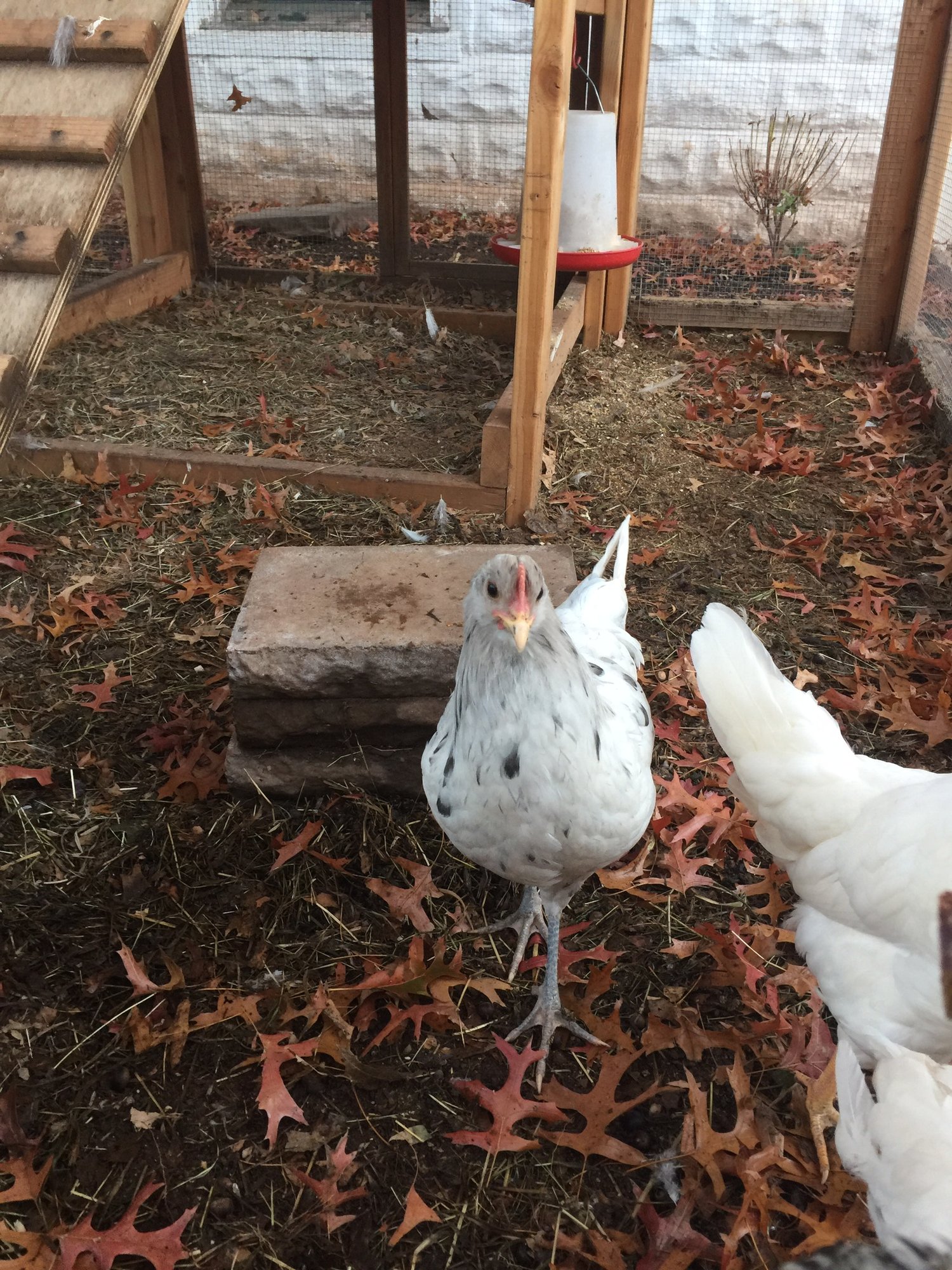 E33DDD35-EAA5-4DB2-89FD-2E27782B4BD2