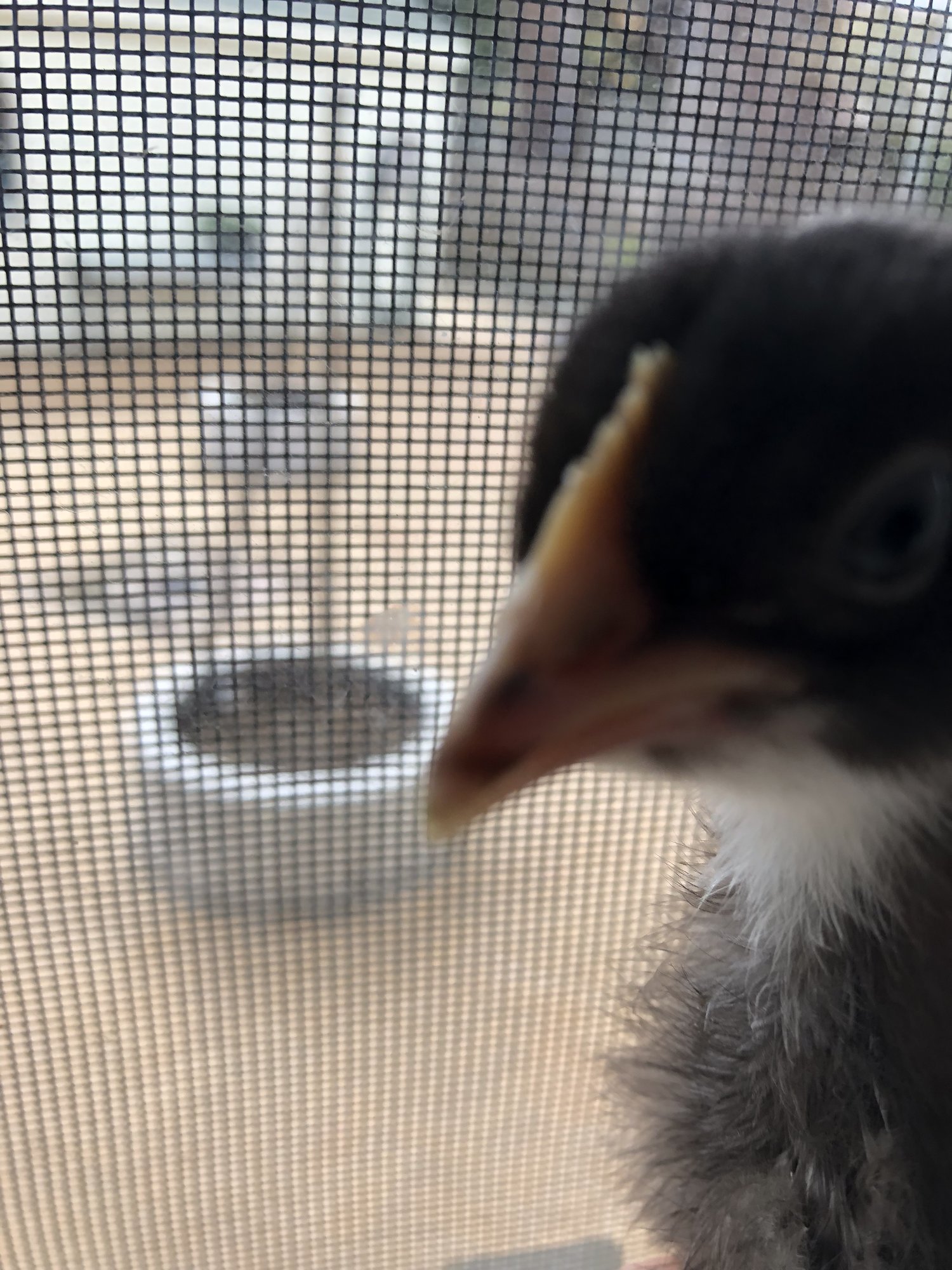 E4D5EC26-3C6F-435D-B9FB-229C9CAE6E57