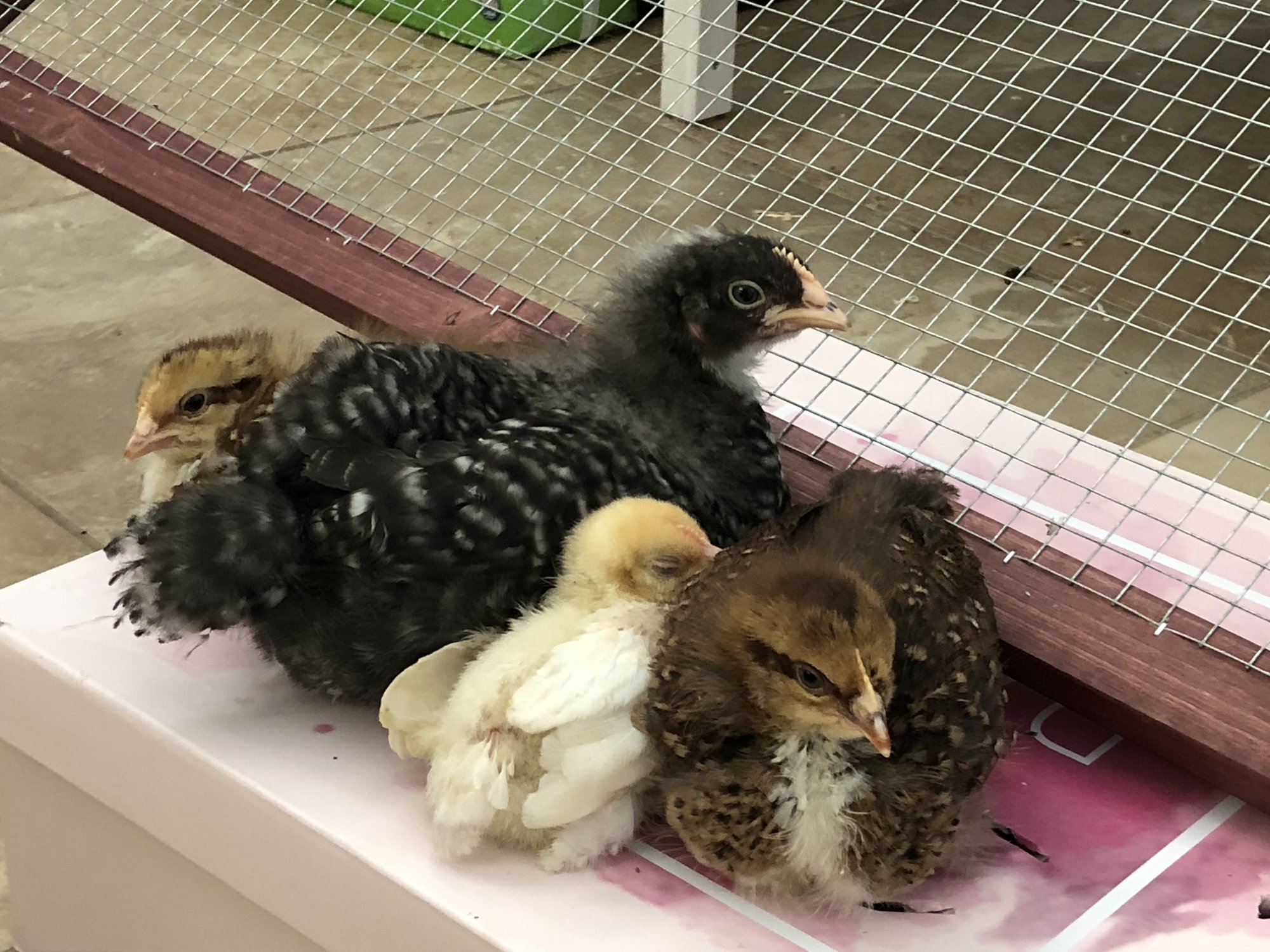 E807CD84-38C5-4C77-86C6-D66F2812B47B