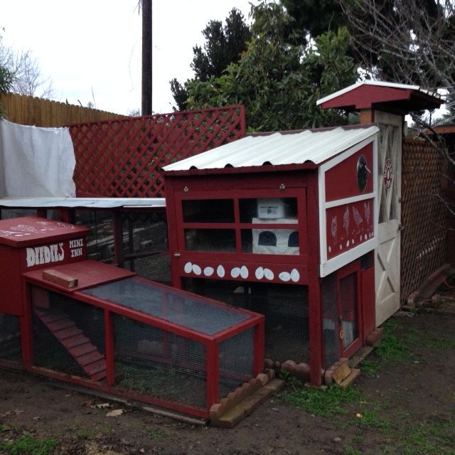 Early 2015: The coop is done, the hens are moved in! Still working on enclosing the chicken yard with 6-8 ft high fences/trellises. Here one part is still a make-shift curtain.