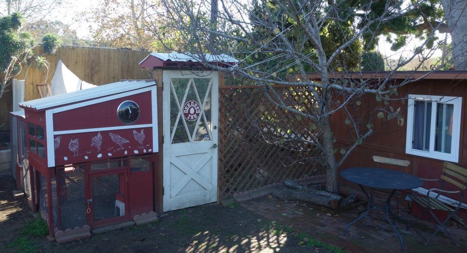 early 2015. The four hens are laying at least two dozen eggs a week, they have their 4x4 coop, their 48 sq ft of enclosed runs, and their chicken yard.