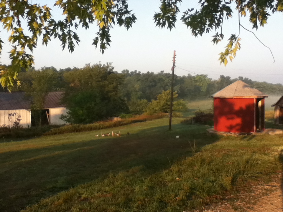 Early Morning at our house.  The red building on the right is our coop.