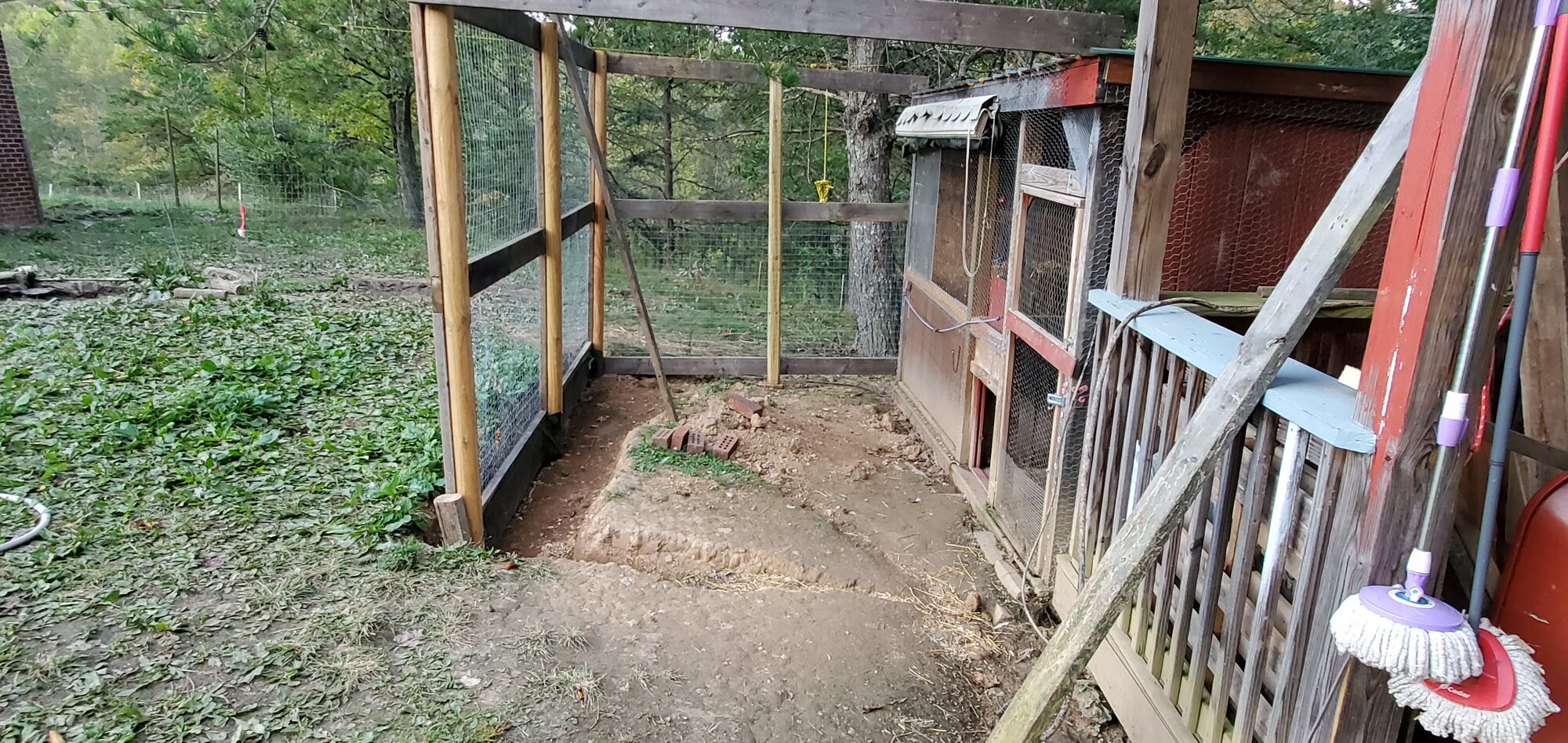 East sidewall is framed and ½ covered in 2x2" welded wire-mesh