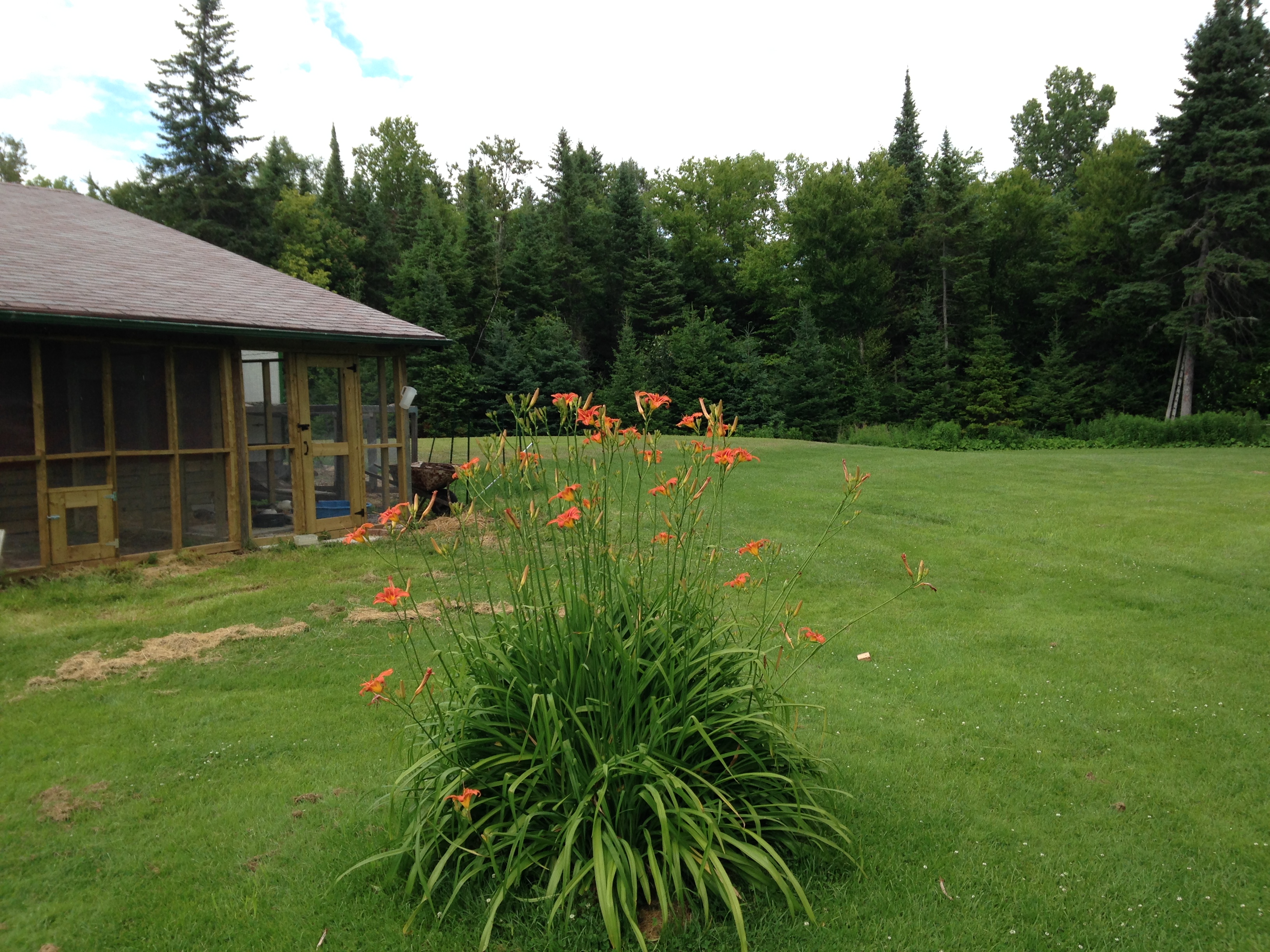 East View w/Duck Habitat/Aviary