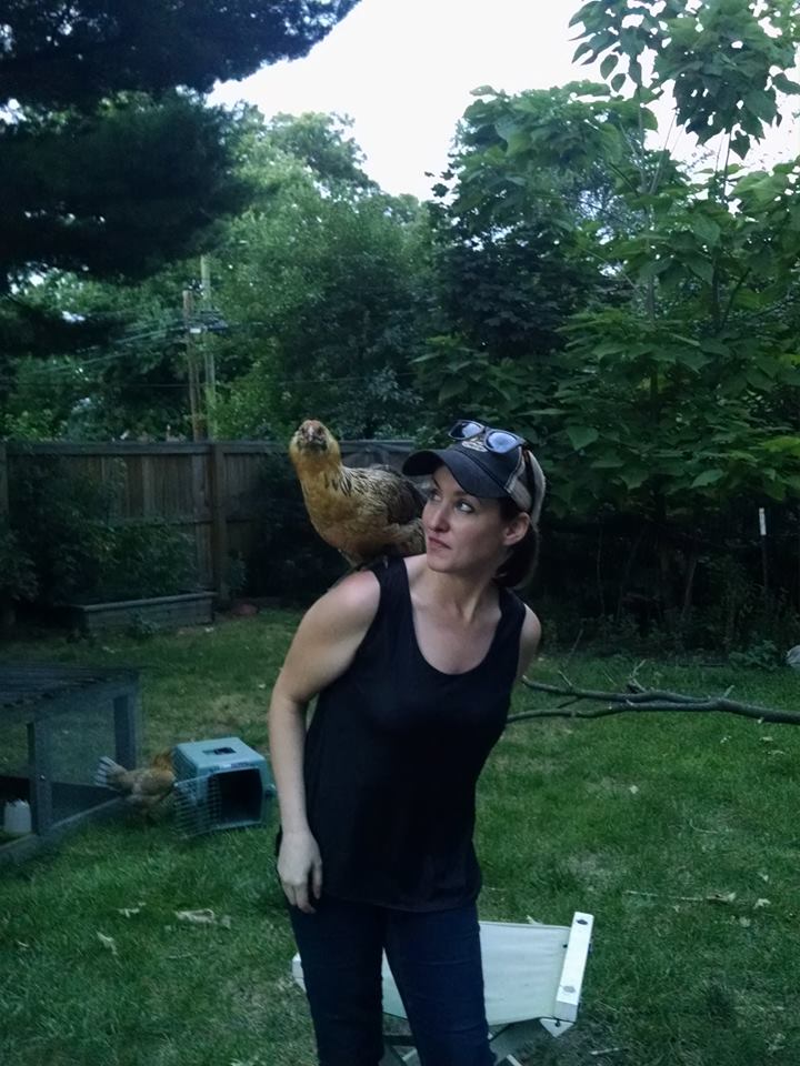 Easter Egger named Jo Pesci being a shoulder chicken