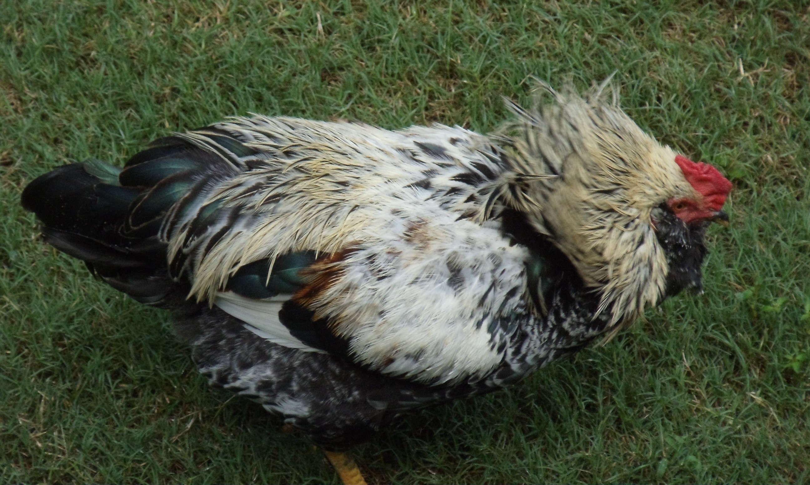 Easy, Breezy, Beautiful