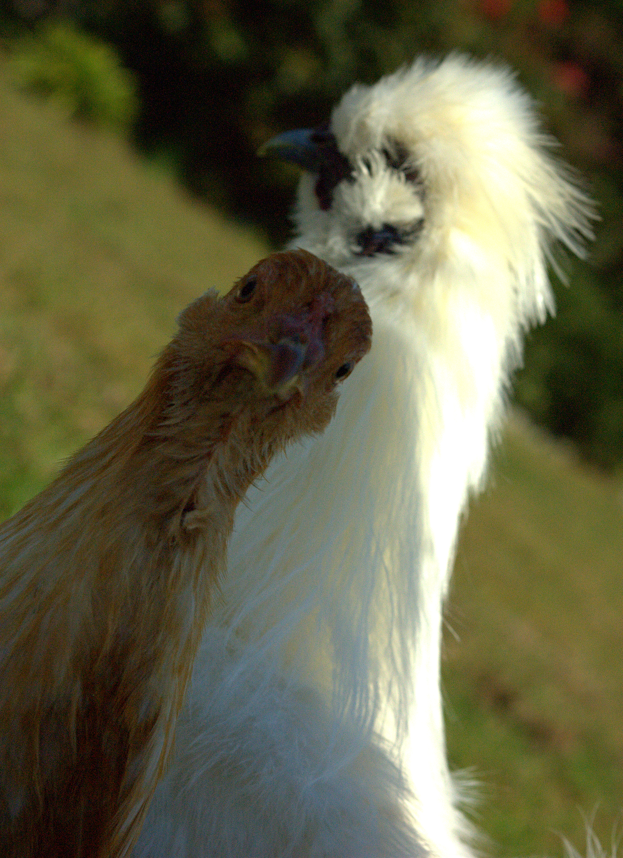 Ed photo bombed!