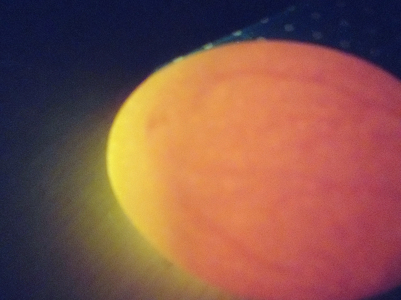 Edited to see veins better!
Day 7, healthy-looking veins developing all around the egg.
of the 6 eggs I have, 1 looks iffy but the rest have some veins!