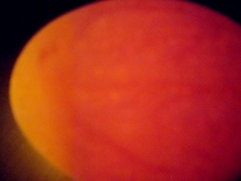 Edited to see veins better! (Even though it might be hard)
Day 7