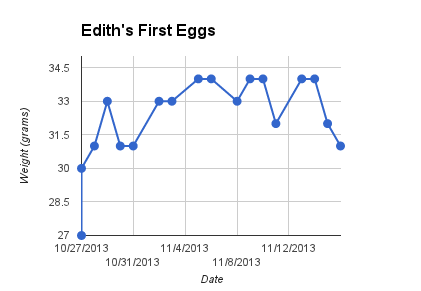 Edith's first eggs.  Easter Egger Bantam.  25 weeks old.