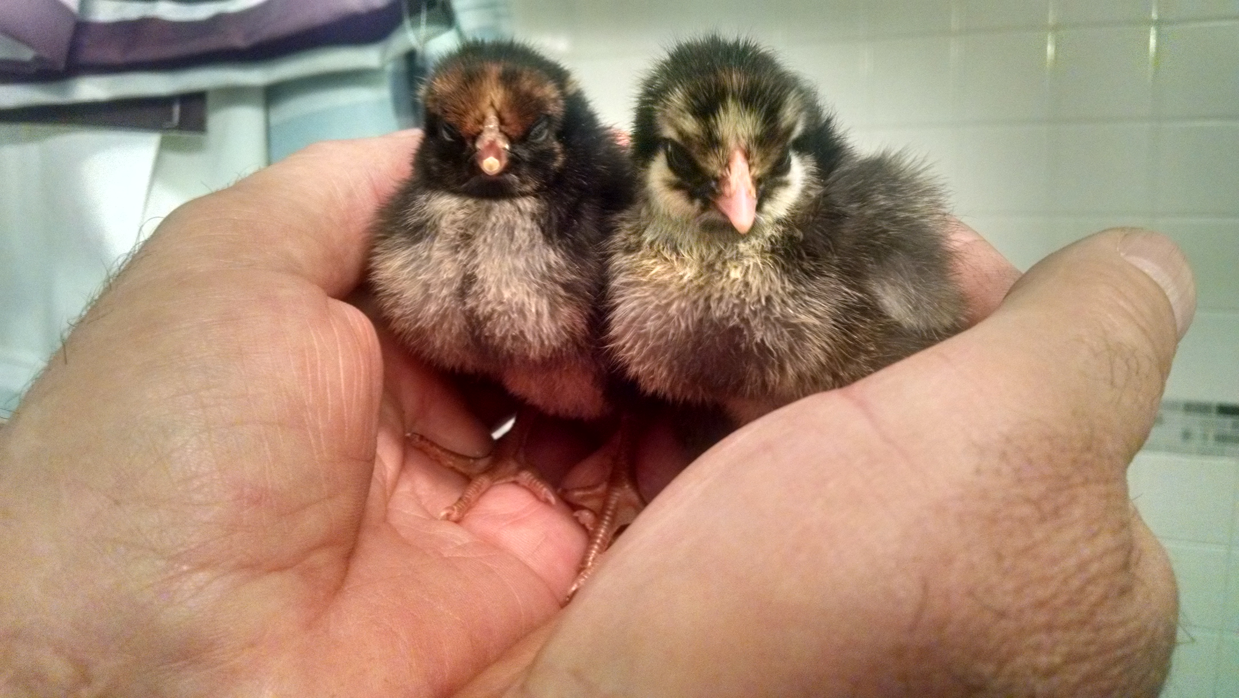 Edna and Inez