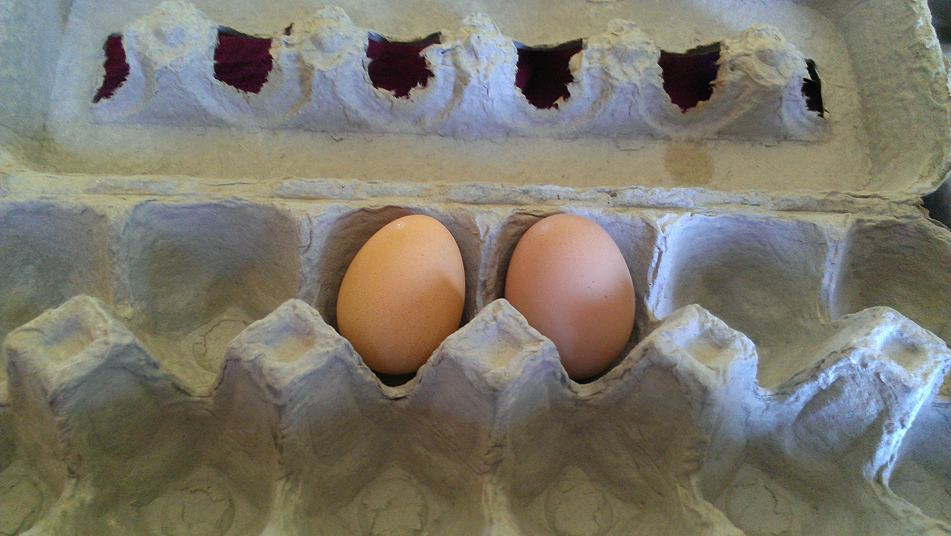 Egg 1 & 2. Getting slightly larger.