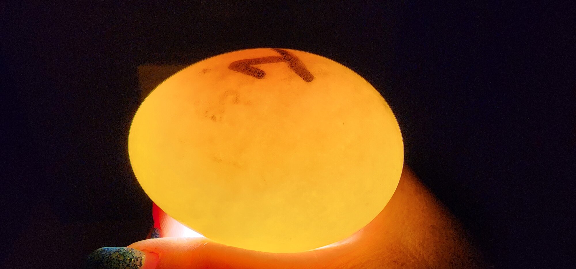 Egg #1 (Side)