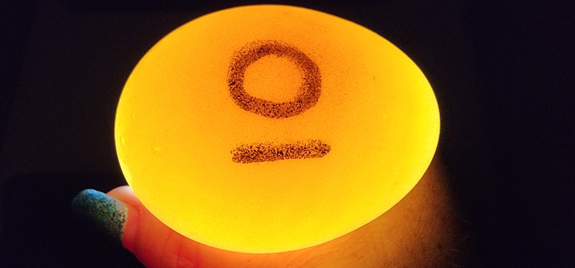 Egg #10